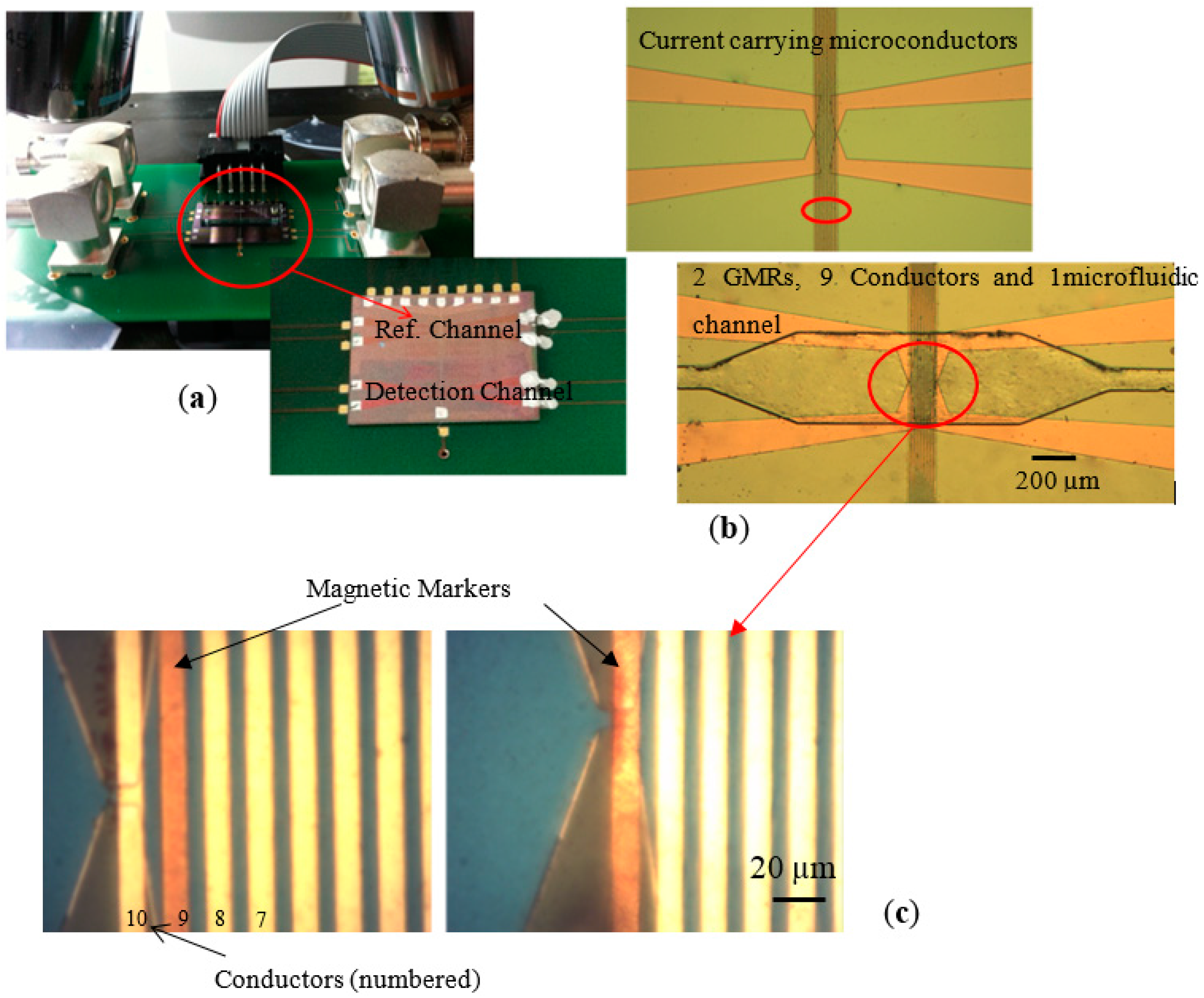 Nanomaterials 07 00171 g002