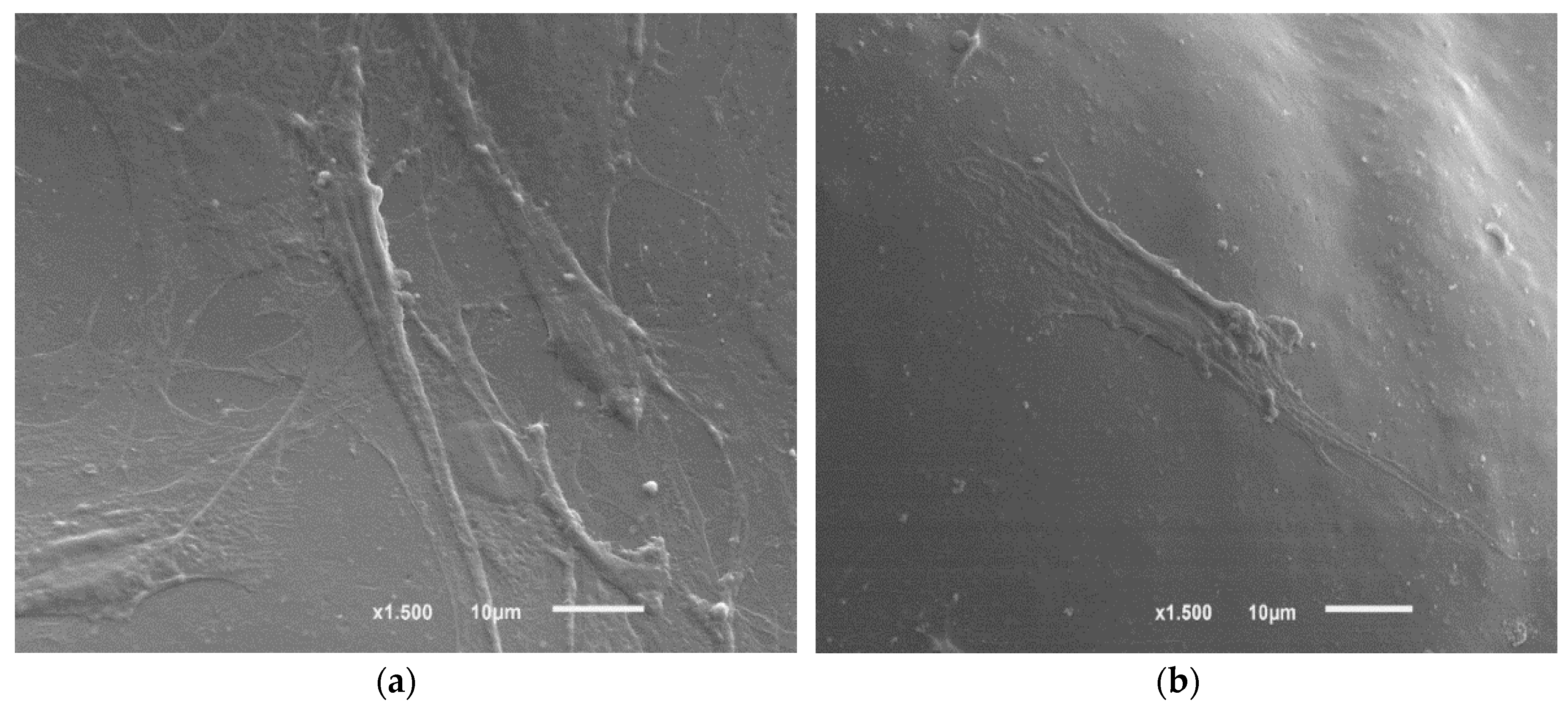 Nanomaterials 07 00173 g002