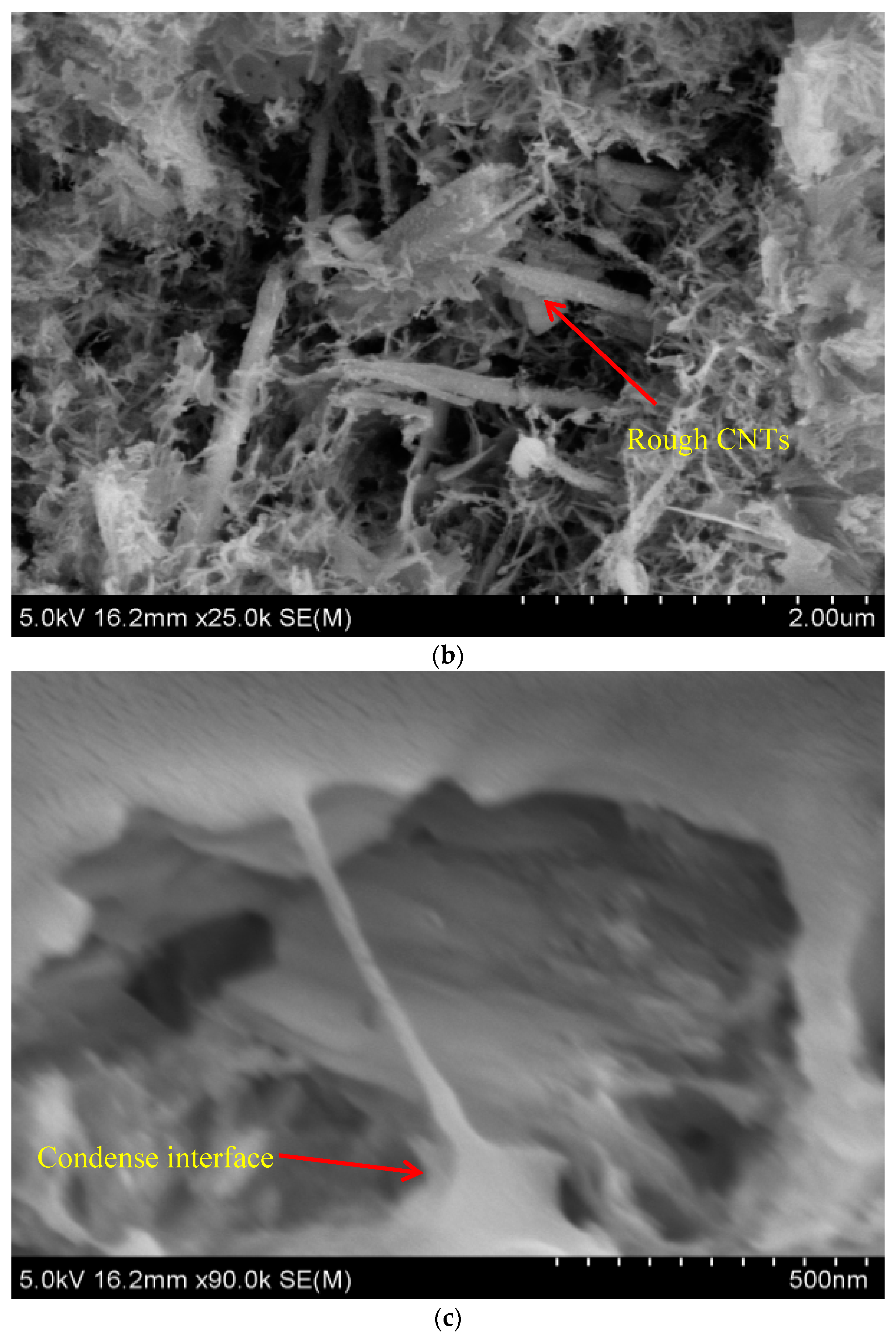 Nanomaterials 07 00185 g003b