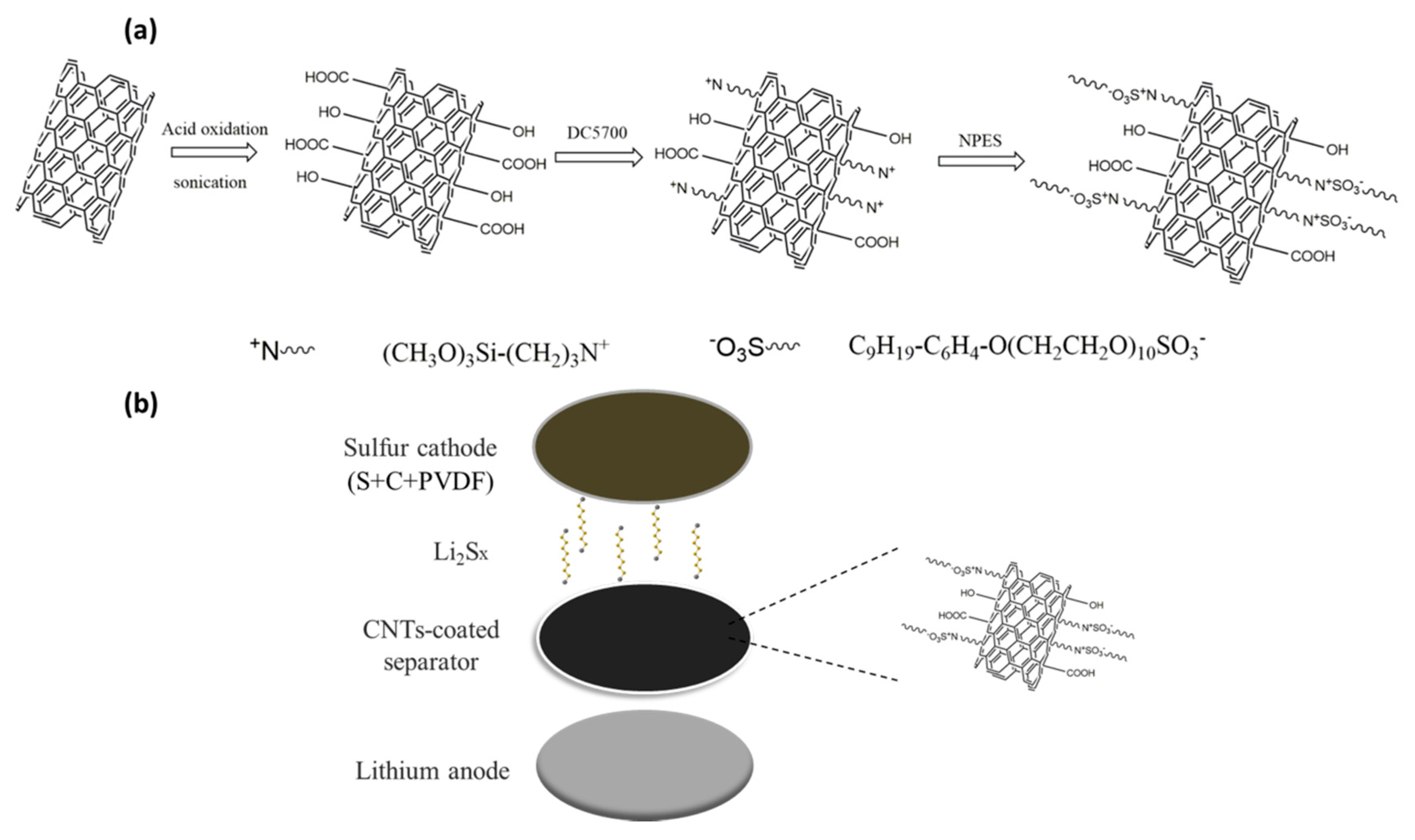 Nanomaterials 07 00196 g001 550