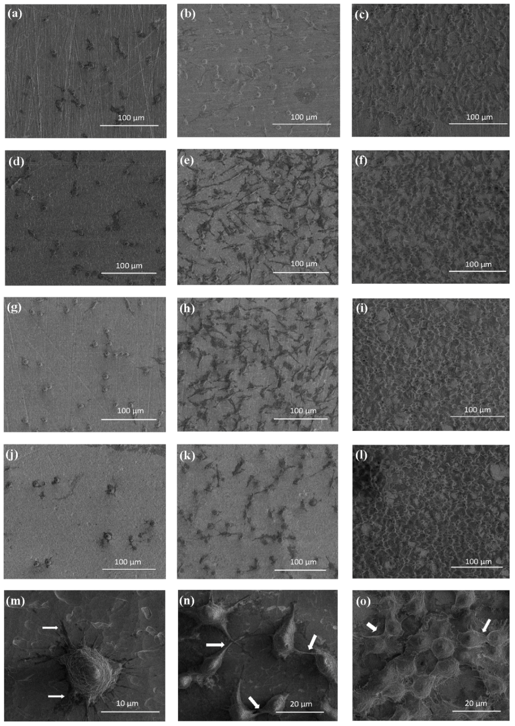Nanomaterials 07 00197 g005
