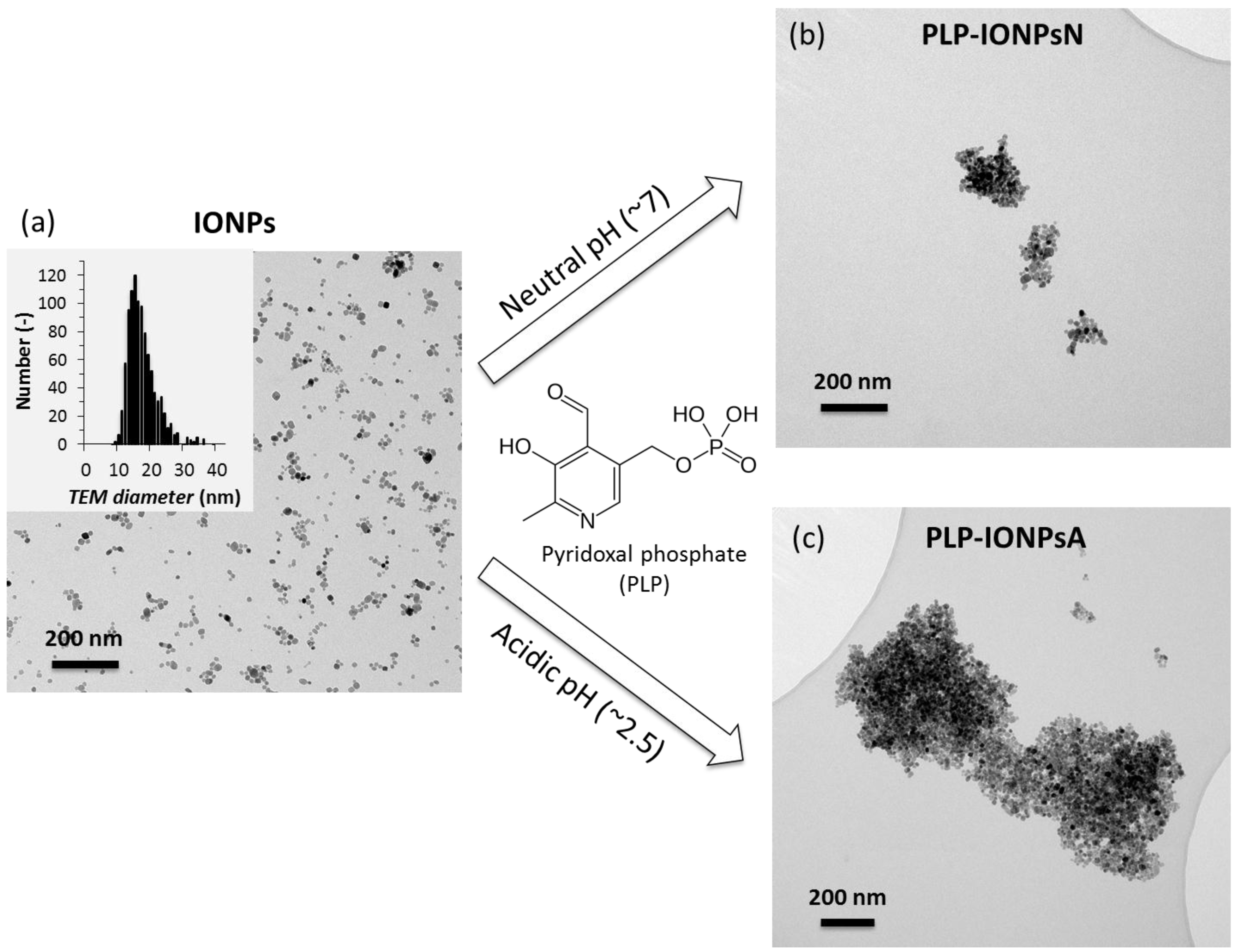 Nanomaterials 07 00202 g001 Nanomaterials 07 00202 g001