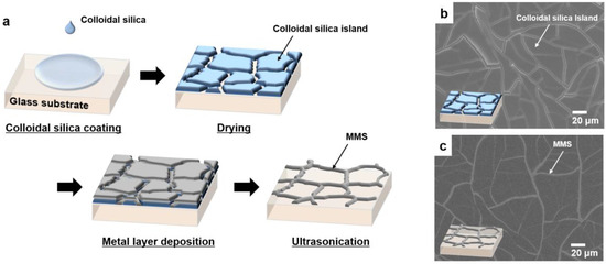 meshfree particle methods for thin plates meshfree particle methods for thin plates