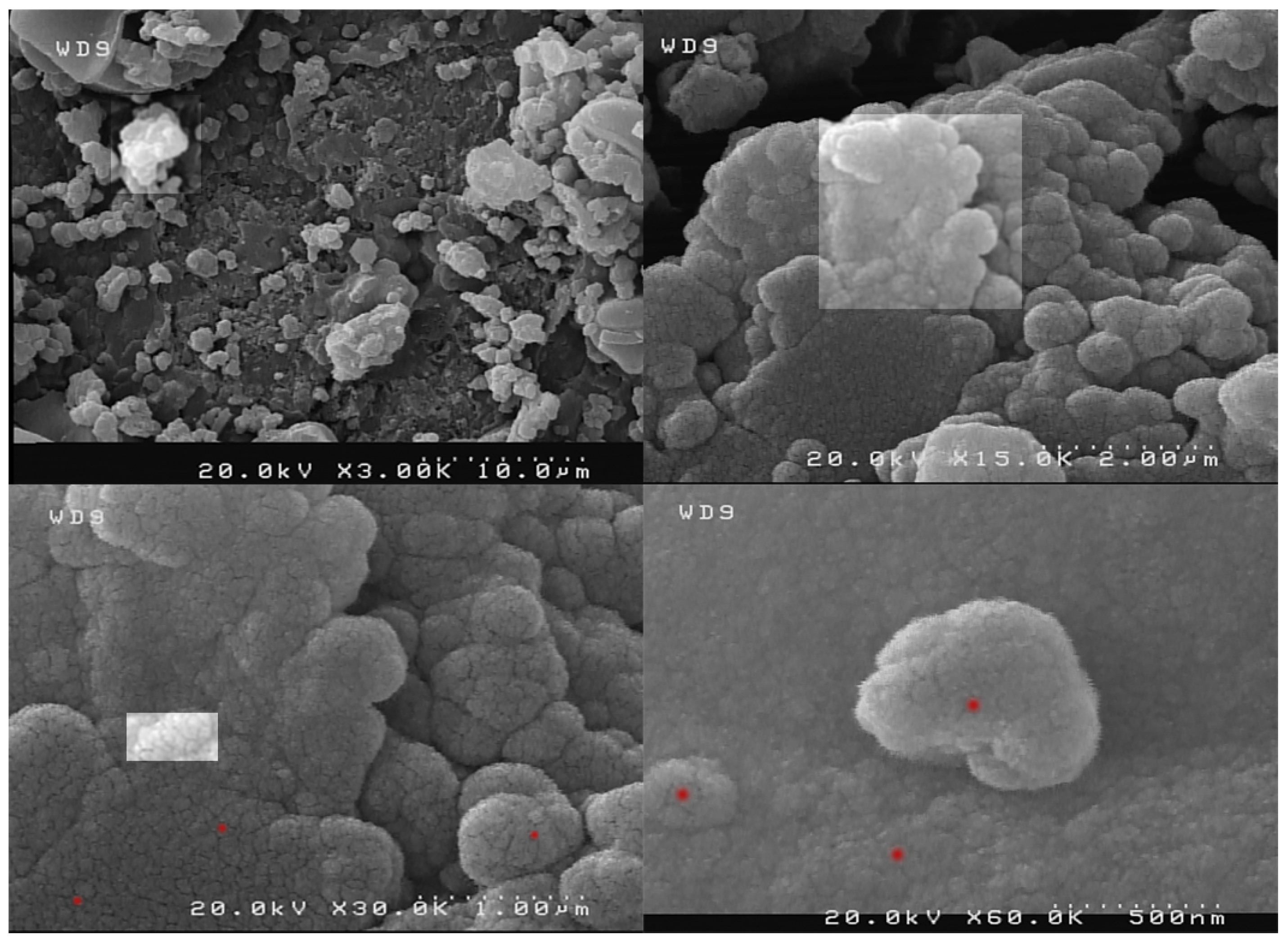 Nanomaterials 07 00215 g005