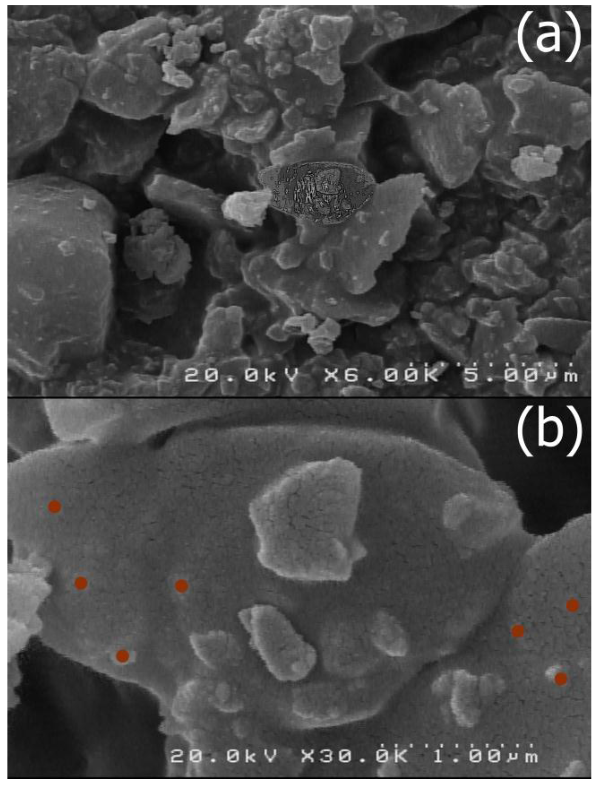 Nanomaterials 07 00215 g006