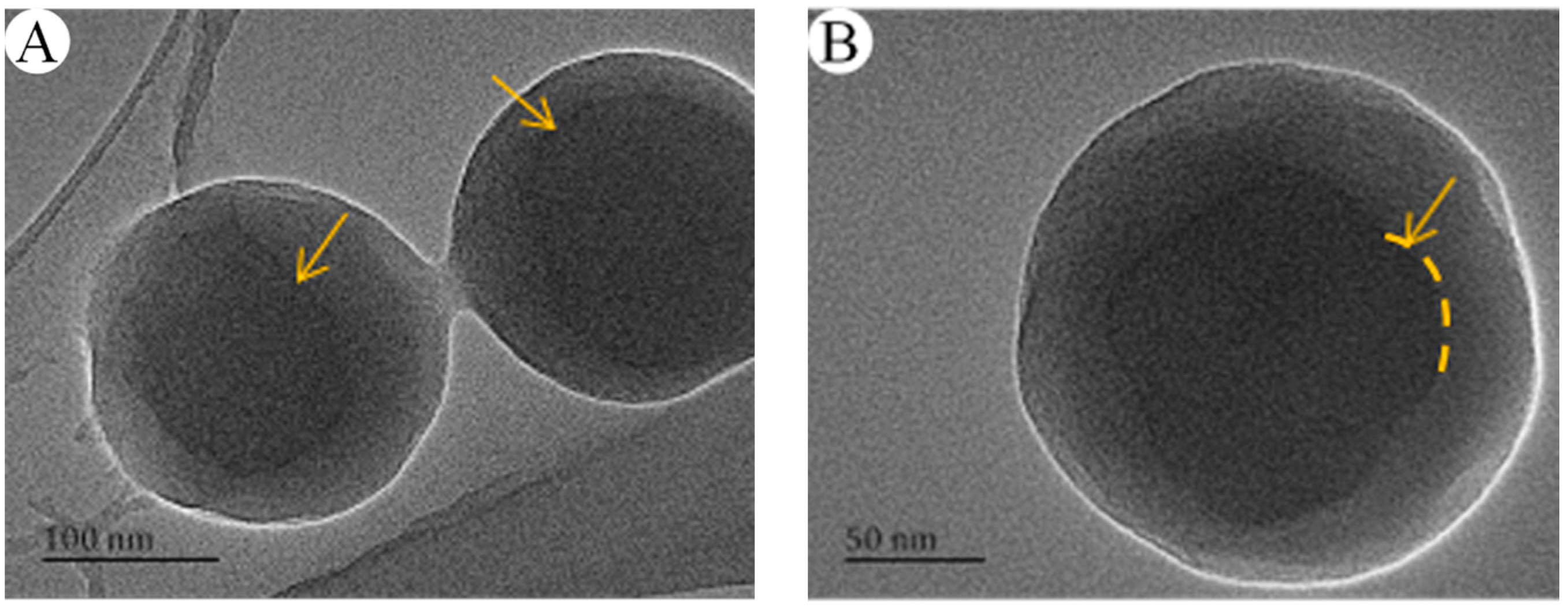 core shell nanorod polyacrylicacid poly styrene core shell nanorod polyacrylicacid poly styrene