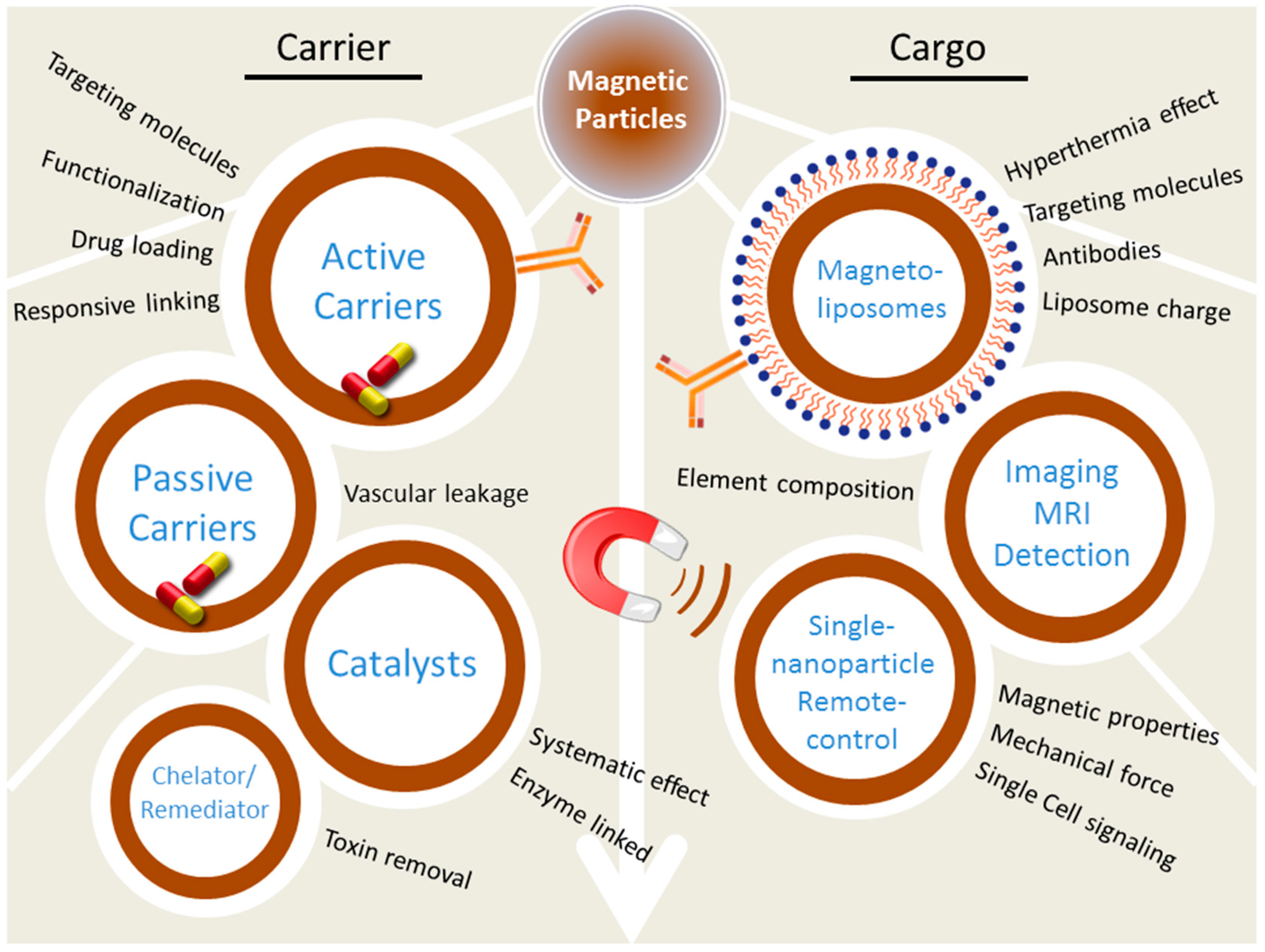 Nanomaterials 07 00243 g001 550