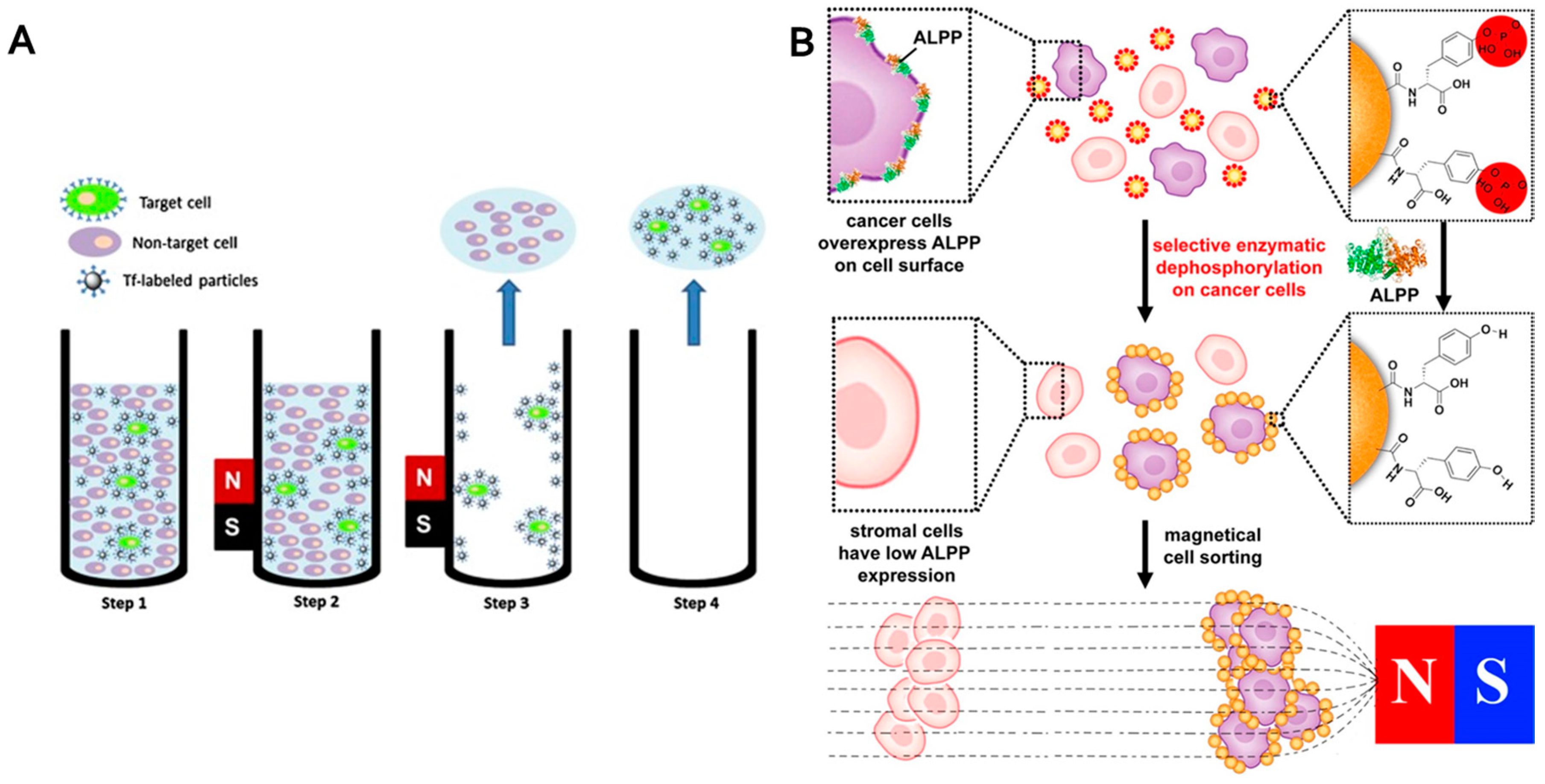 Nanomaterials 07 00243 g005 550