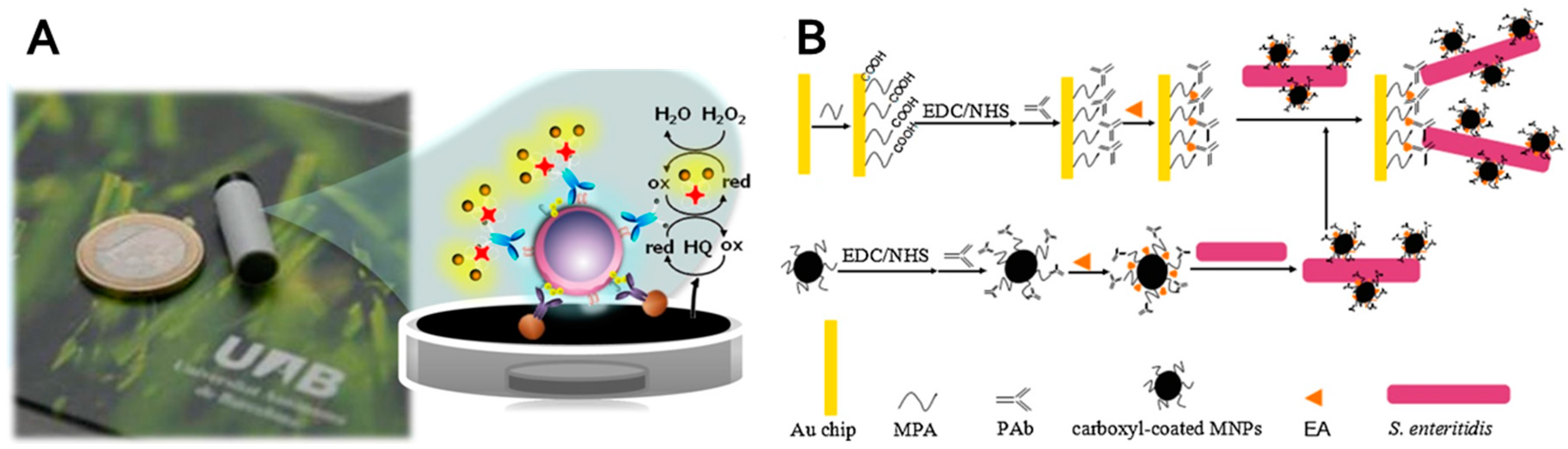 Nanomaterials 07 00243 g006 550