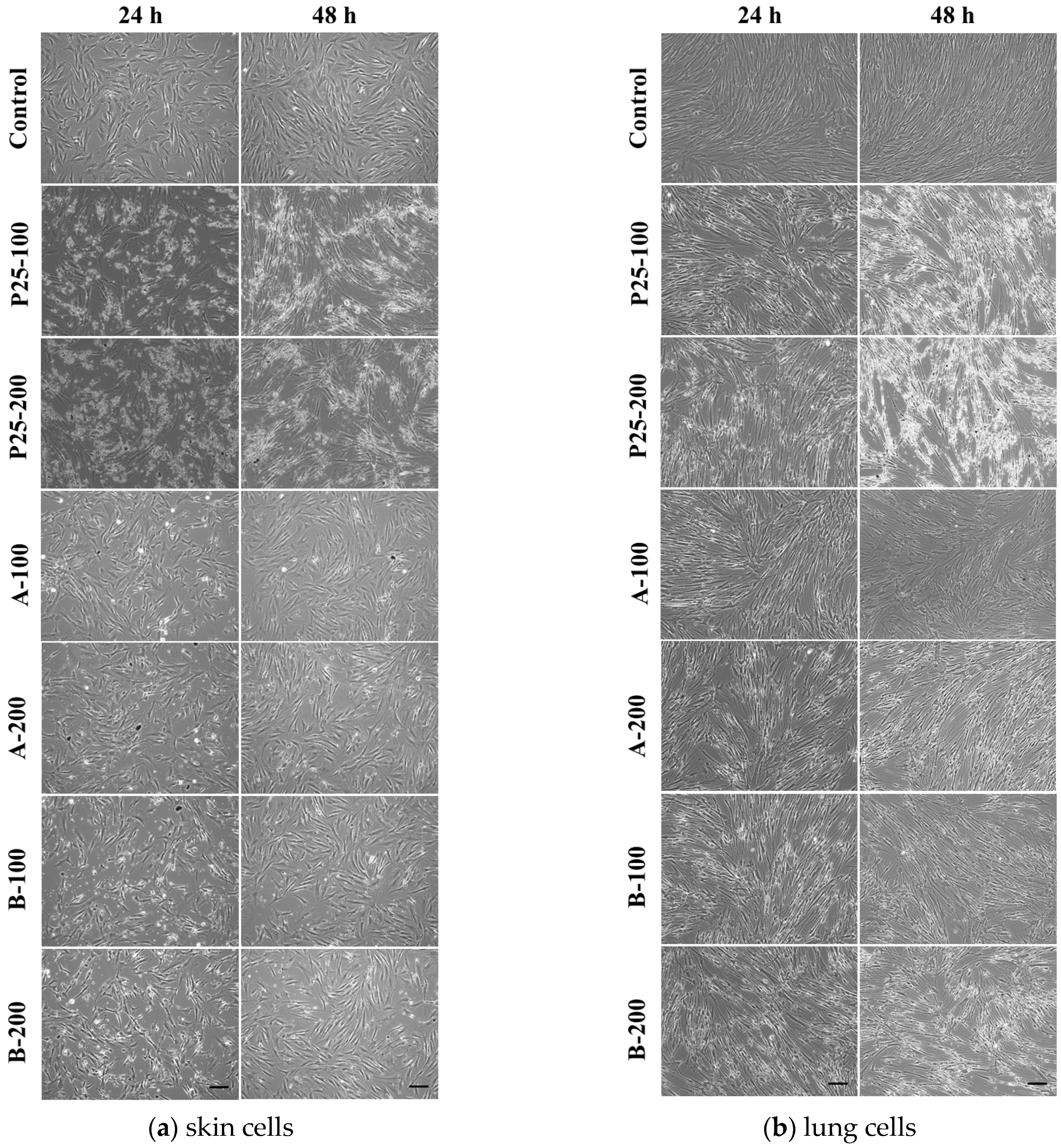 Nanomaterials 07 00279 g010 Nanomaterials 07 00279 g010