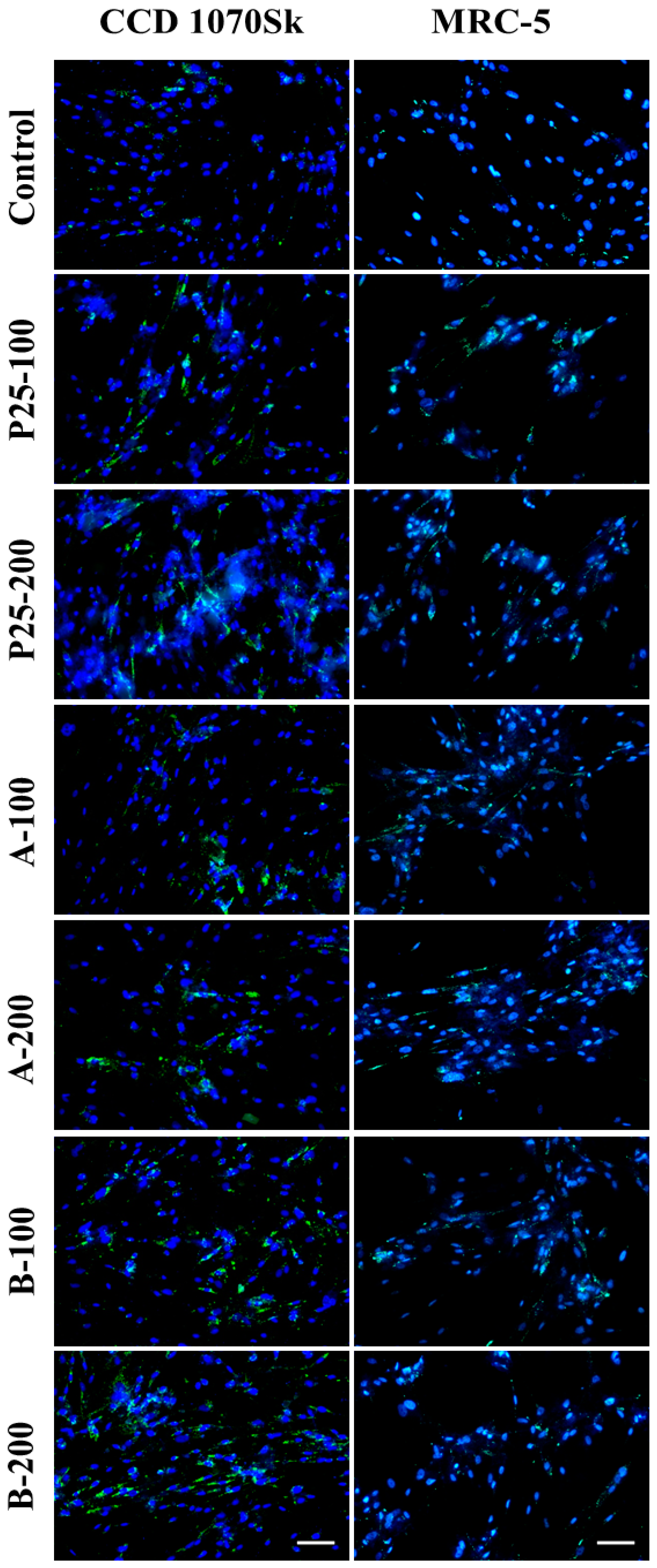 Nanomaterials 07 00279 g017 Nanomaterials 07 00279 g017