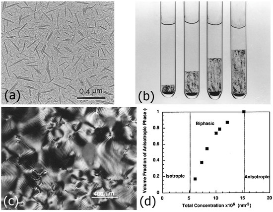 Lyotropic Liquid Crystal Phases from Anisotropic Nanomaterials