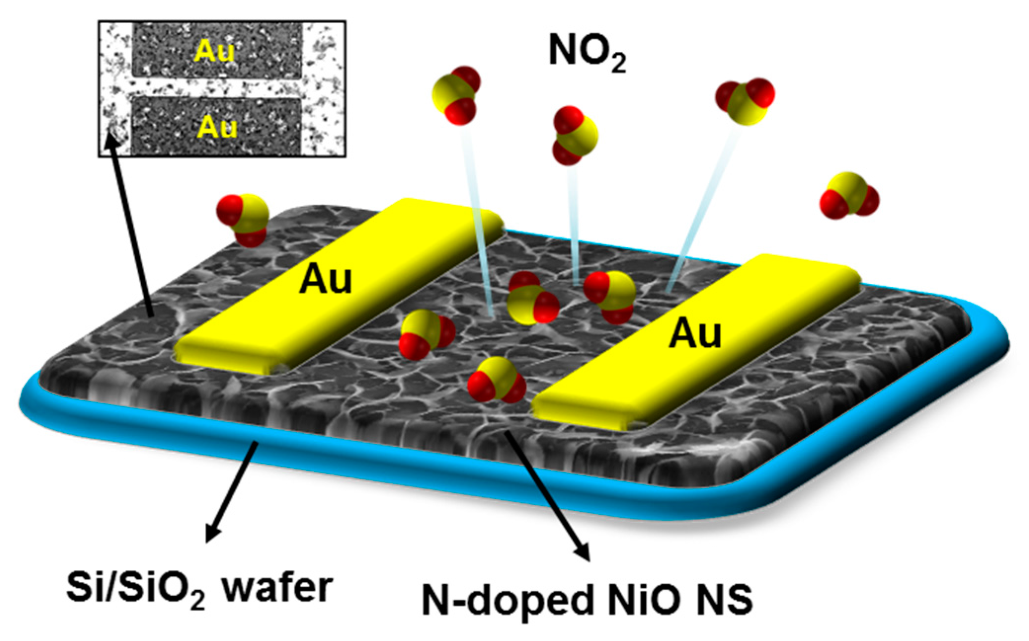 Nanomaterials 07 00313 g001