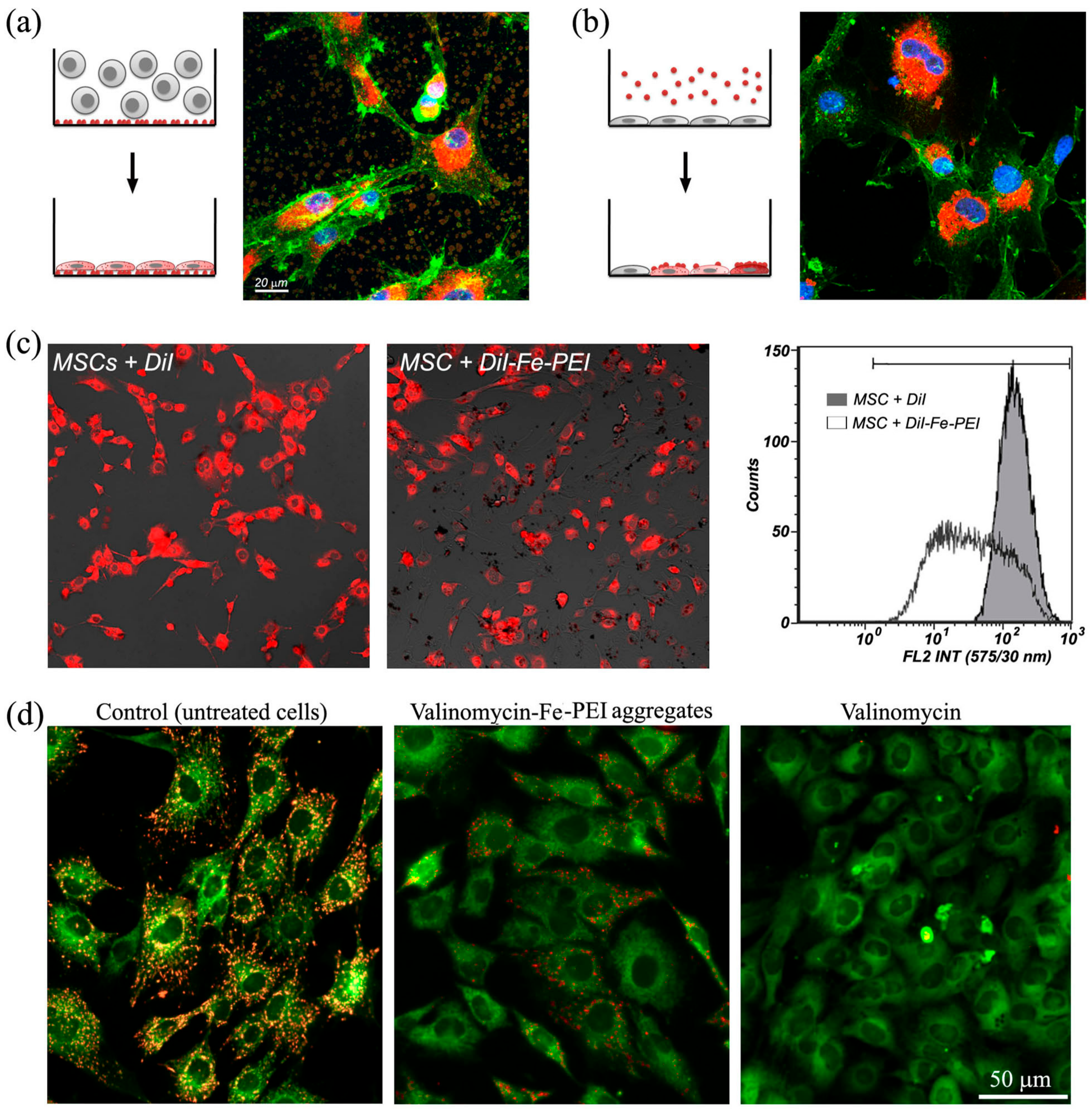Nanomaterials 07 00314 g003