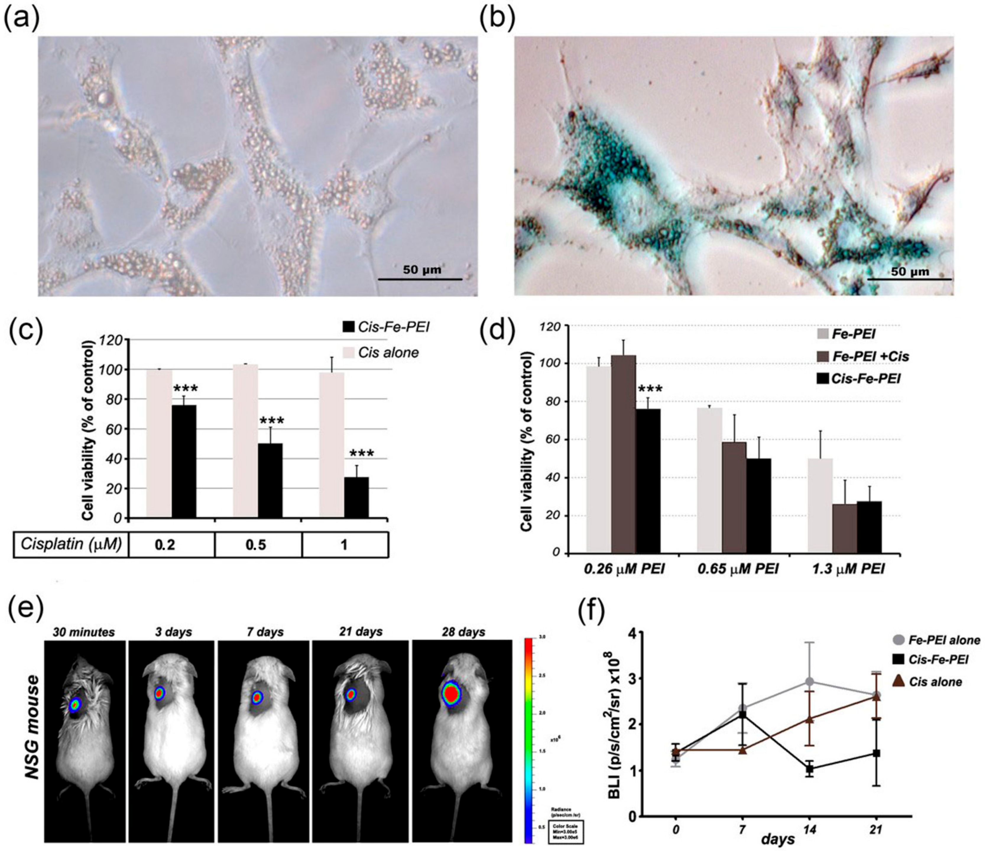 Nanomaterials 07 00314 g004