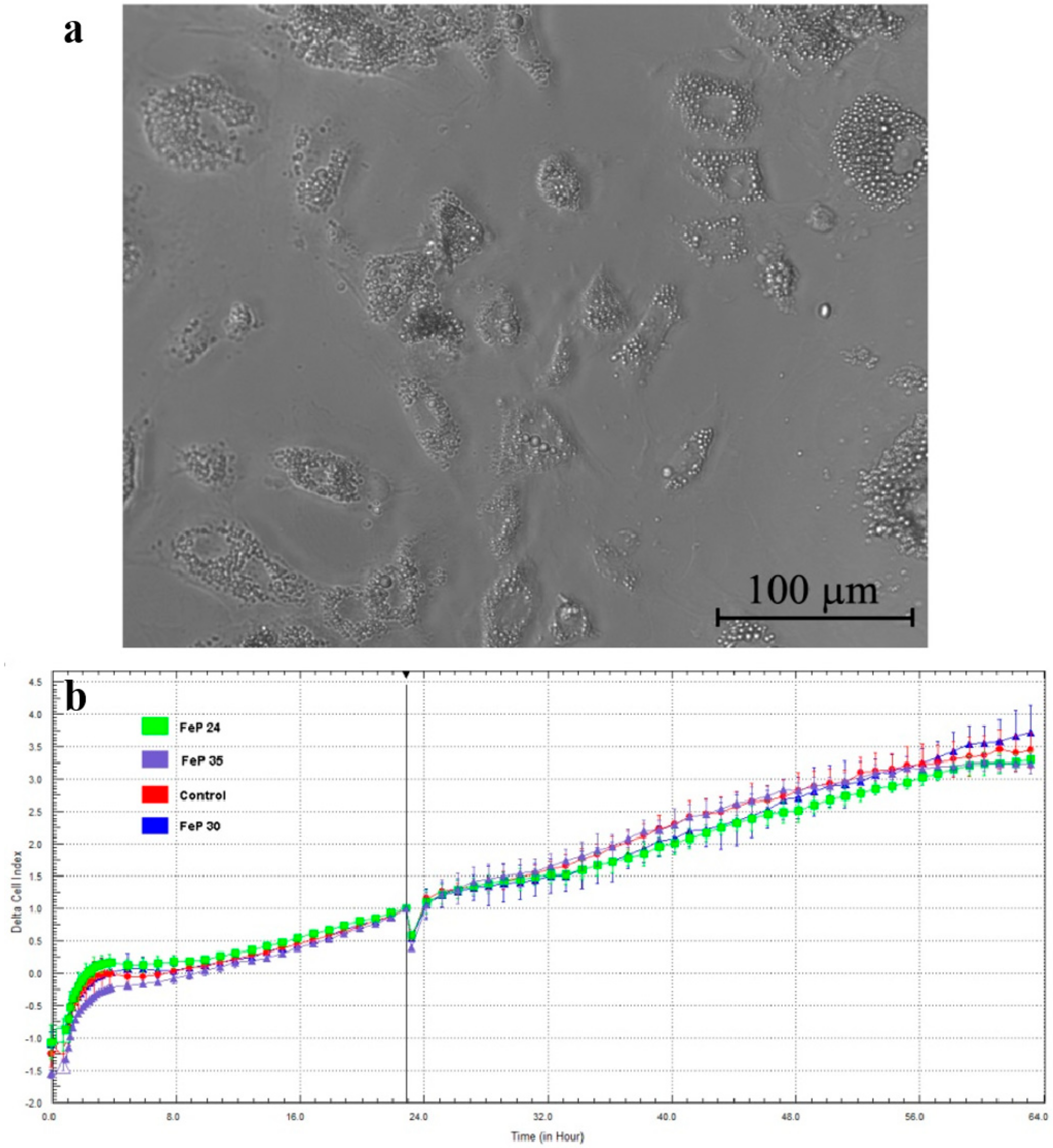 Nanomaterials 07 00314 g006
