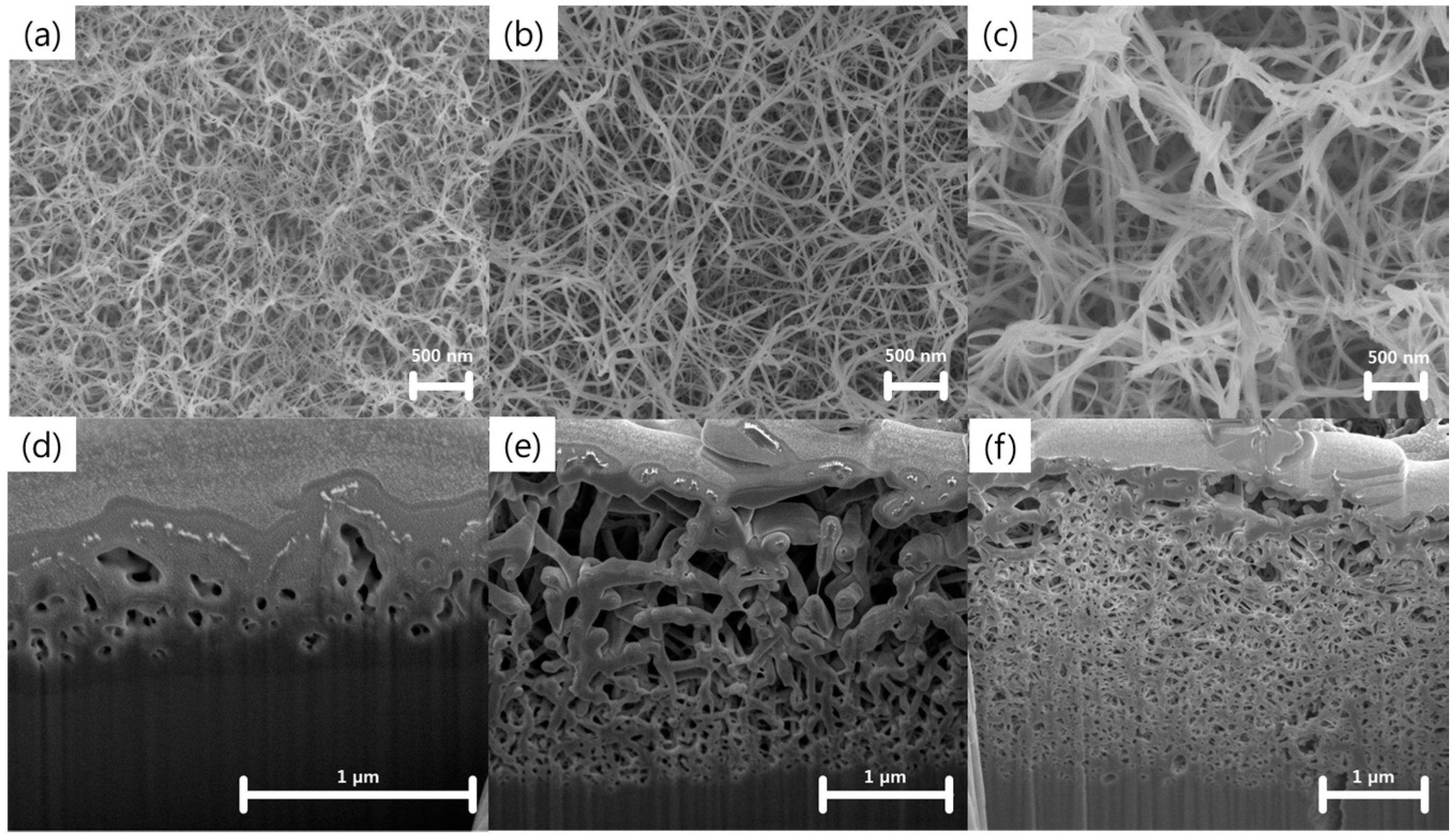 Nanomaterials 07 00315 g001