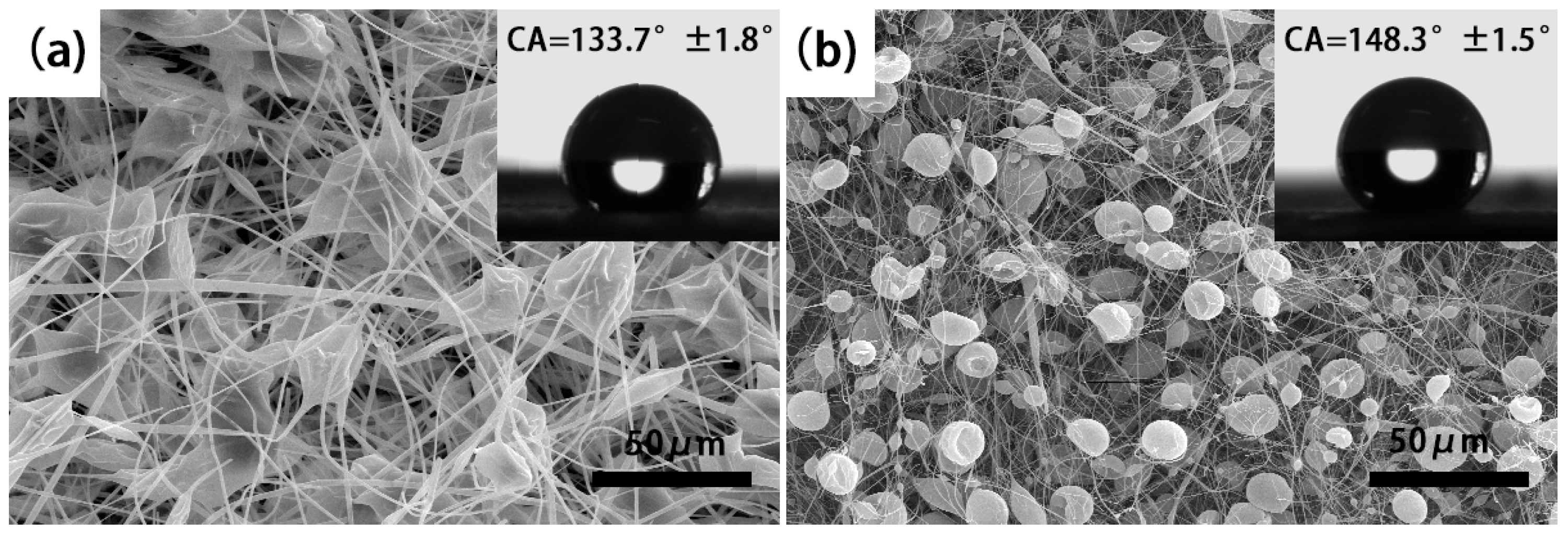 Nanomaterials 07 00319 g004 550