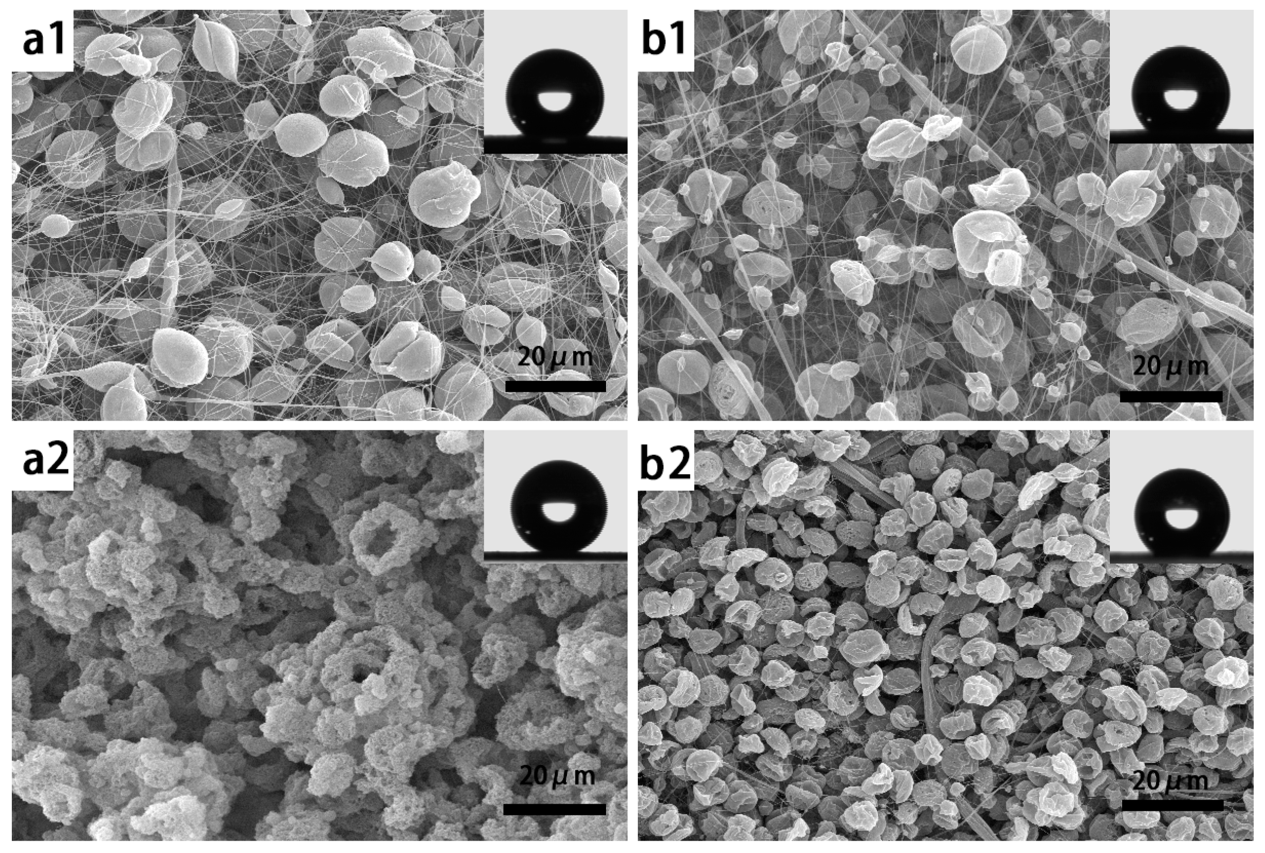 Nanomaterials 07 00319 g005a 550
