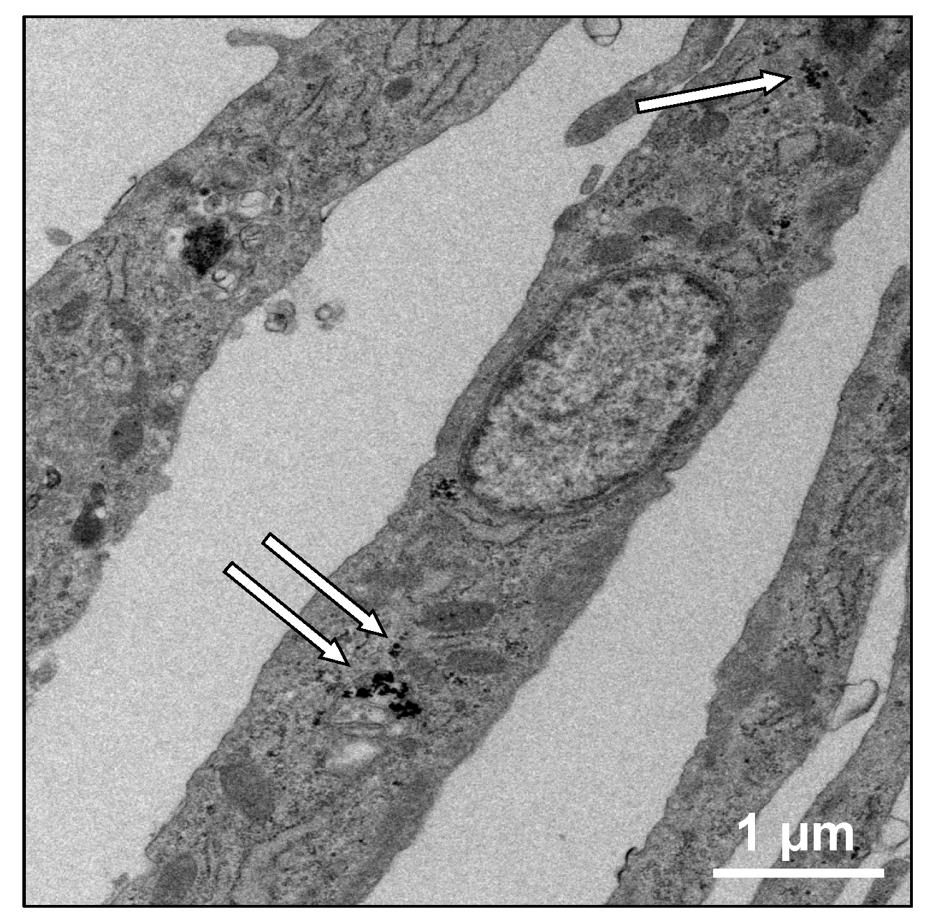 Nanomaterials 07 00322 g001
