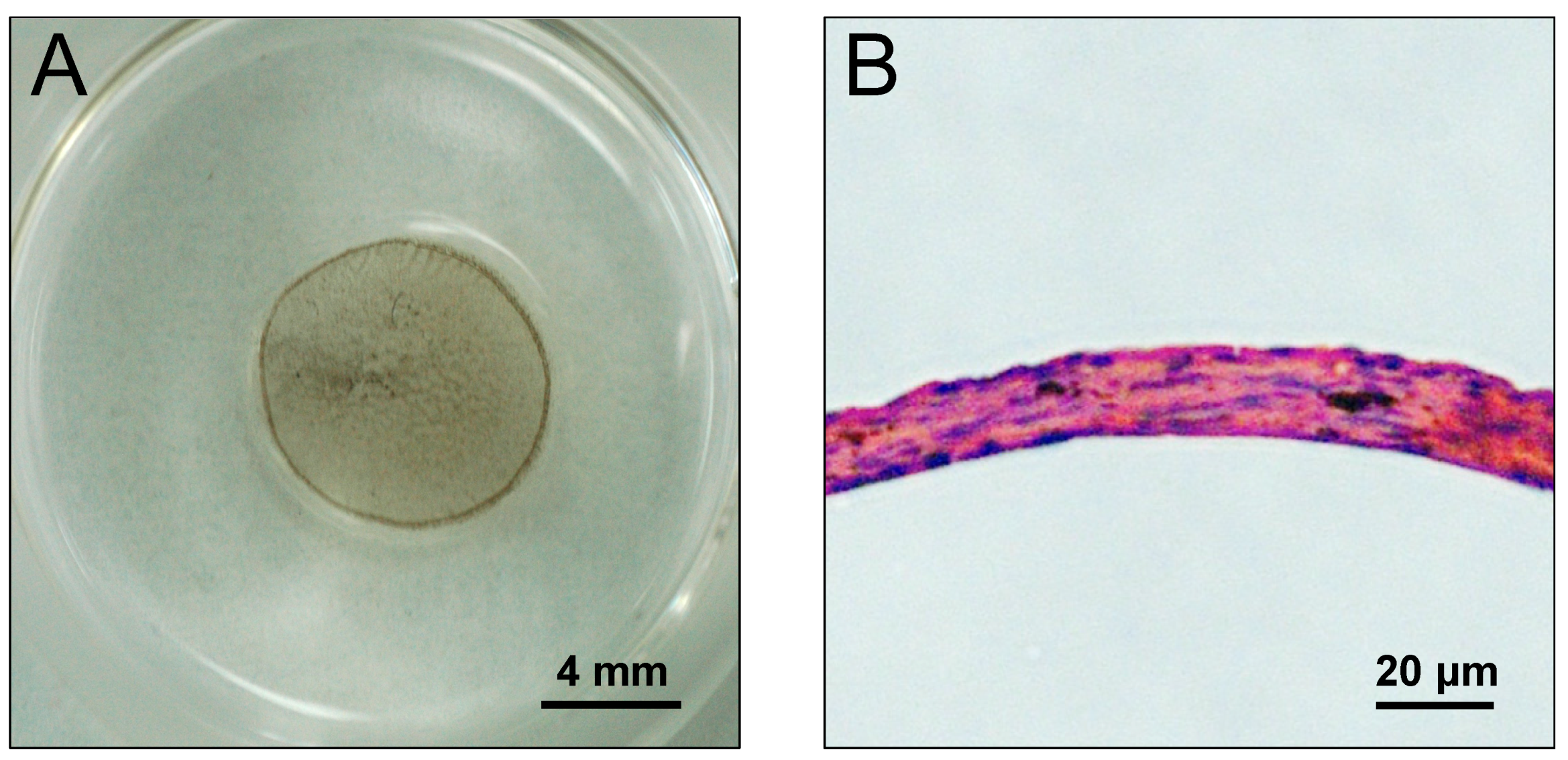 Nanomaterials 07 00322 g005