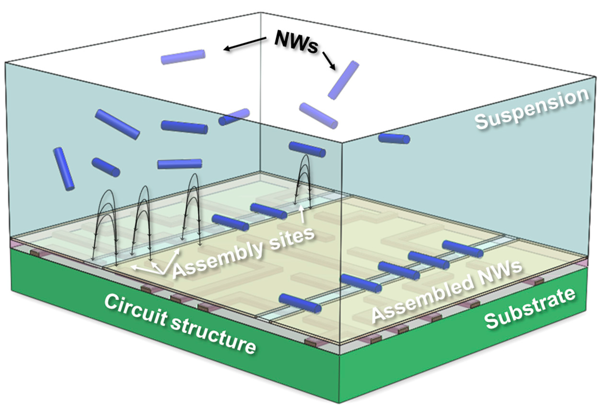 Nanomaterials 07 00335 g001 550