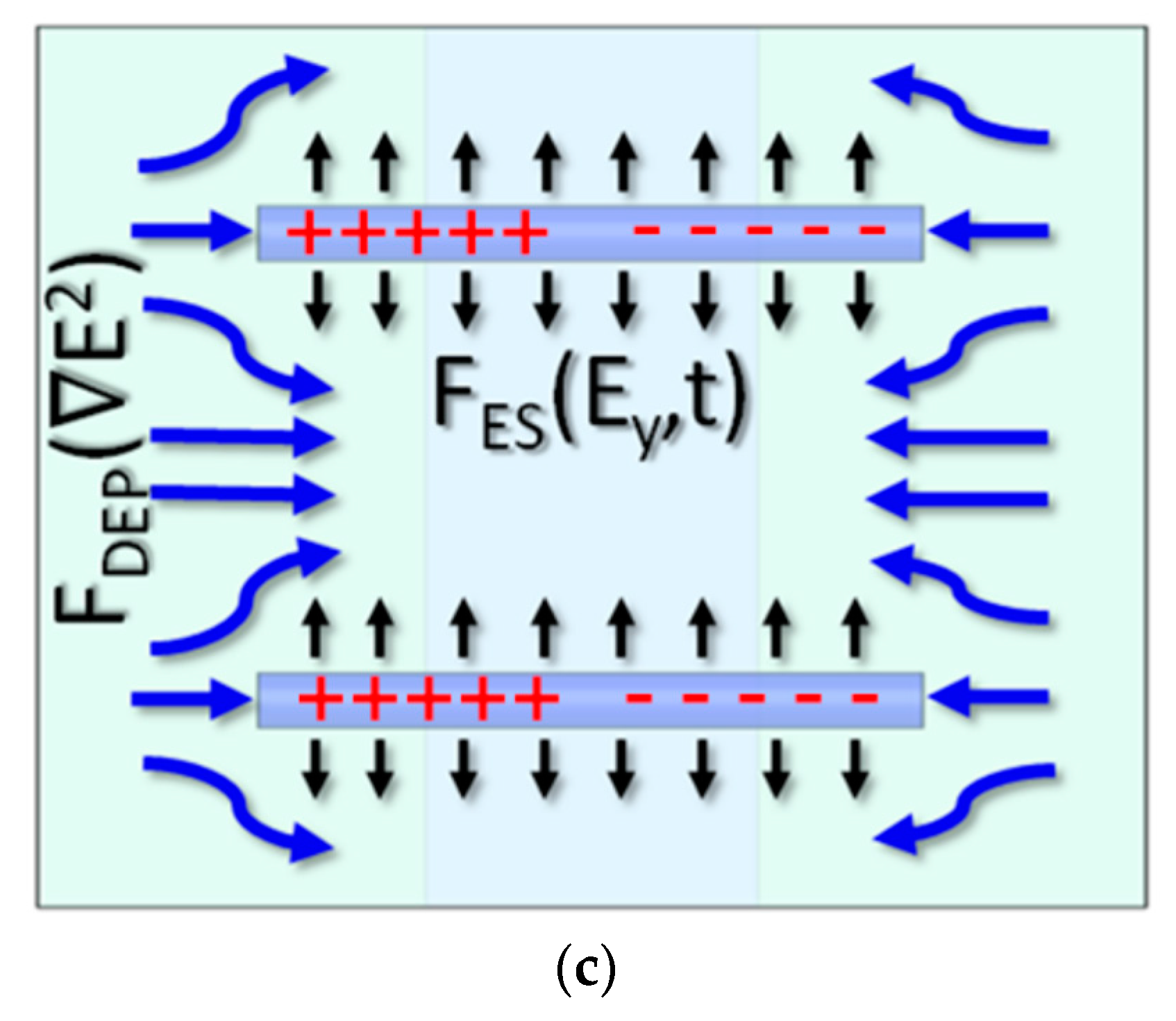 Nanomaterials 07 00335 g003b 550