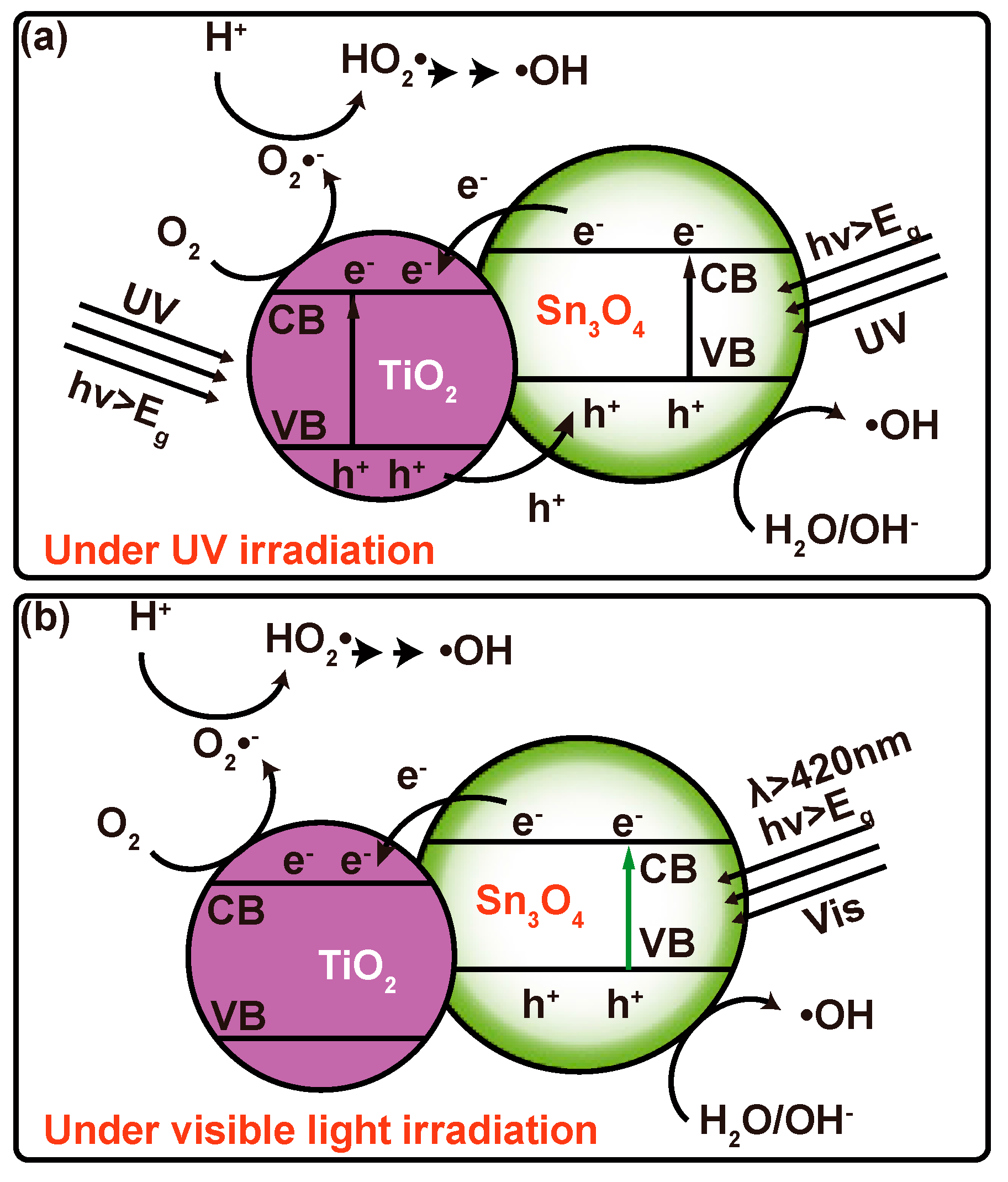 Nanomaterials 07 00336 sch001