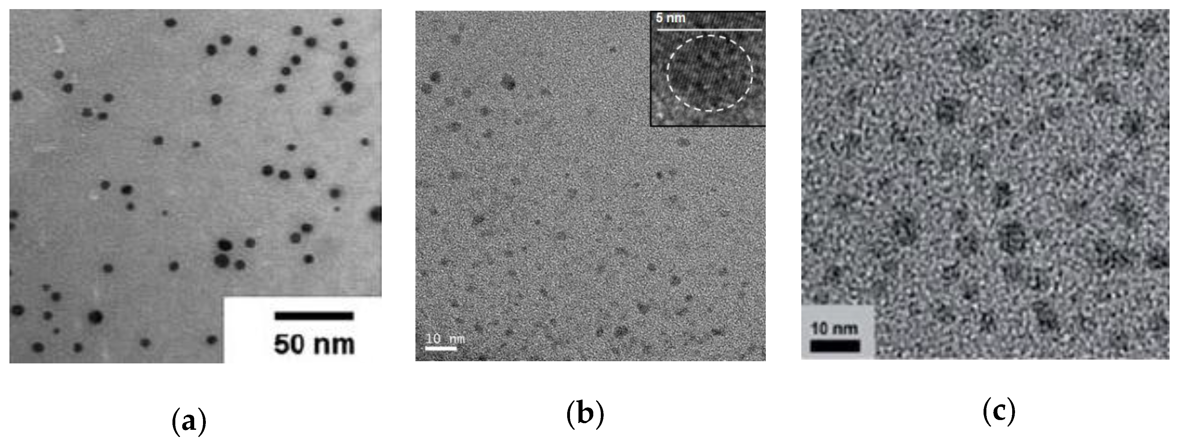 Nanomaterials 07 00341 g006 550