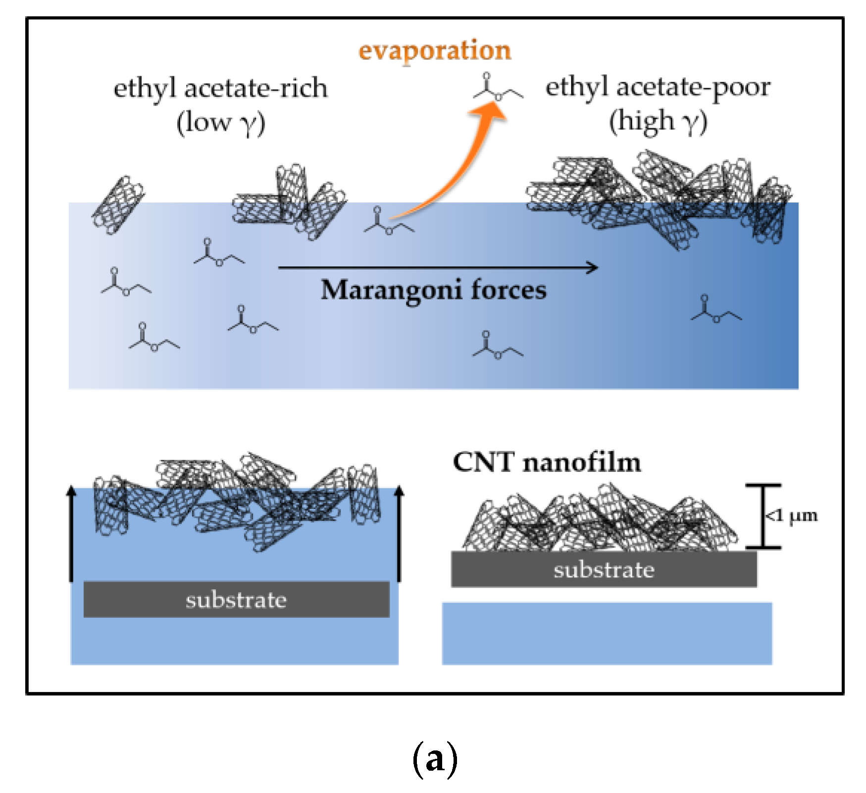 Nanomaterials 07 00342 g001a Nanomaterials 07 00342 g001a