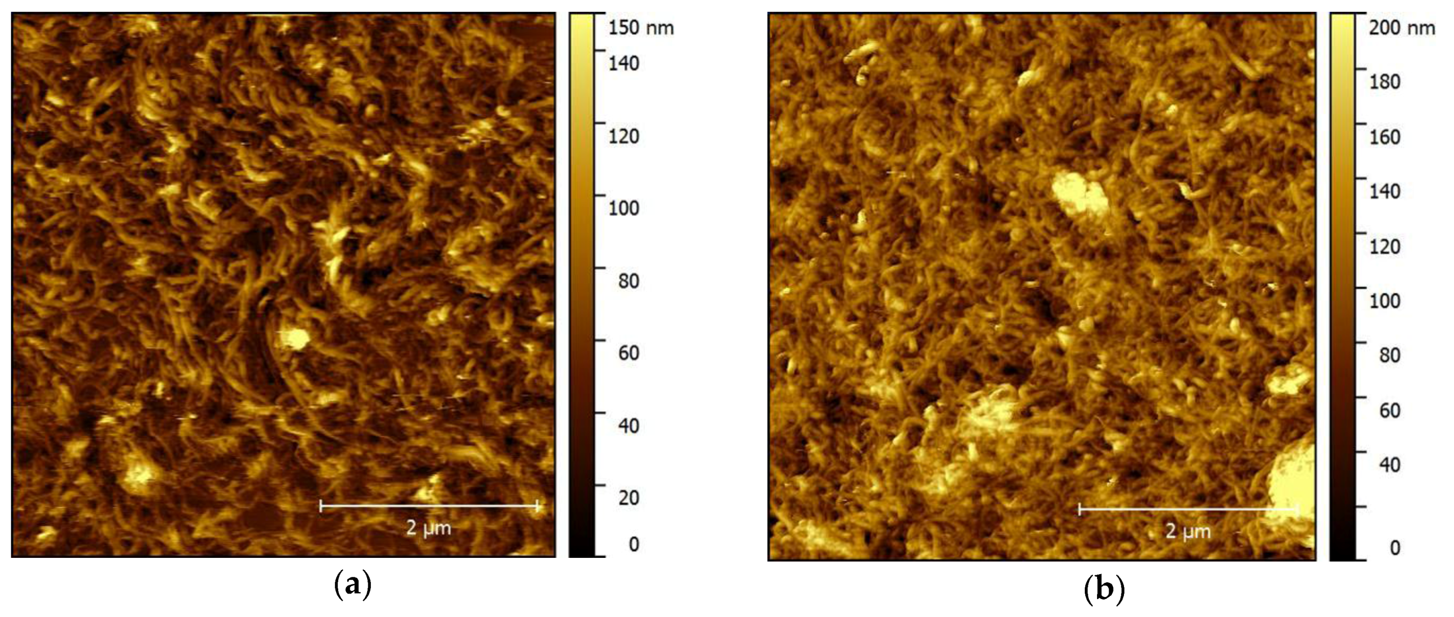 Nanomaterials 07 00342 g002a Nanomaterials 07 00342 g002a