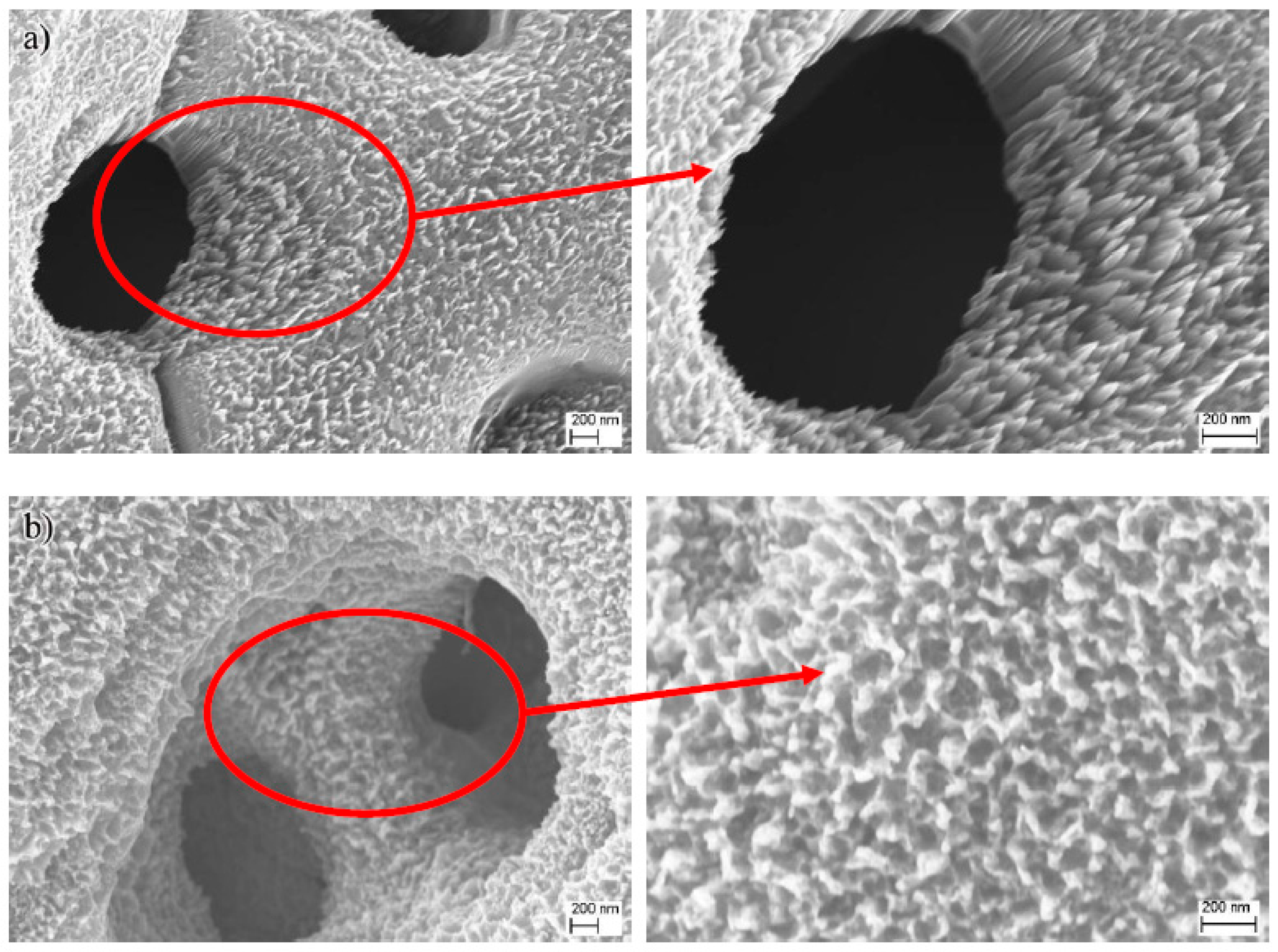 Nanomaterials 07 00343 g003