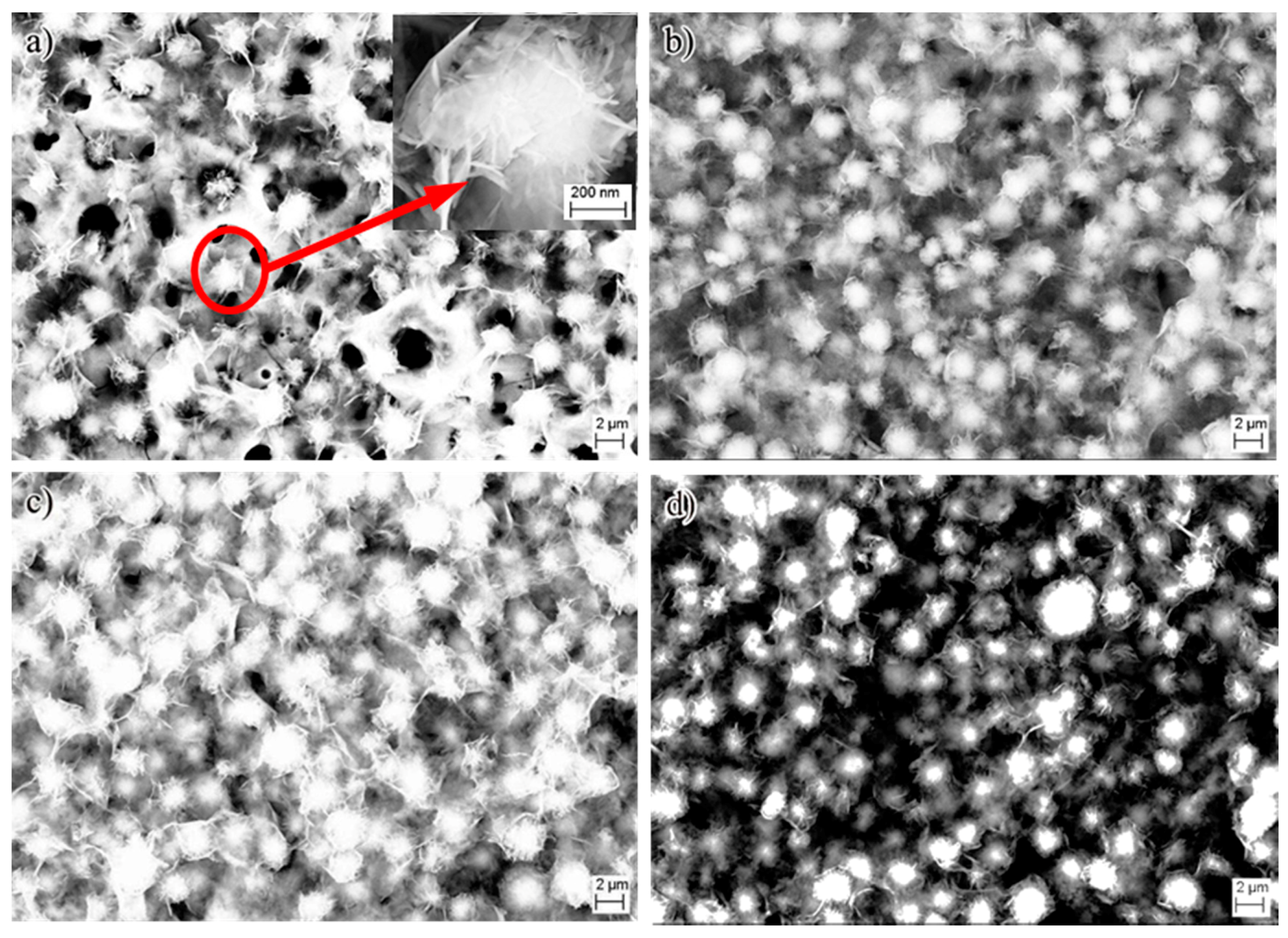 Nanomaterials 07 00343 g007