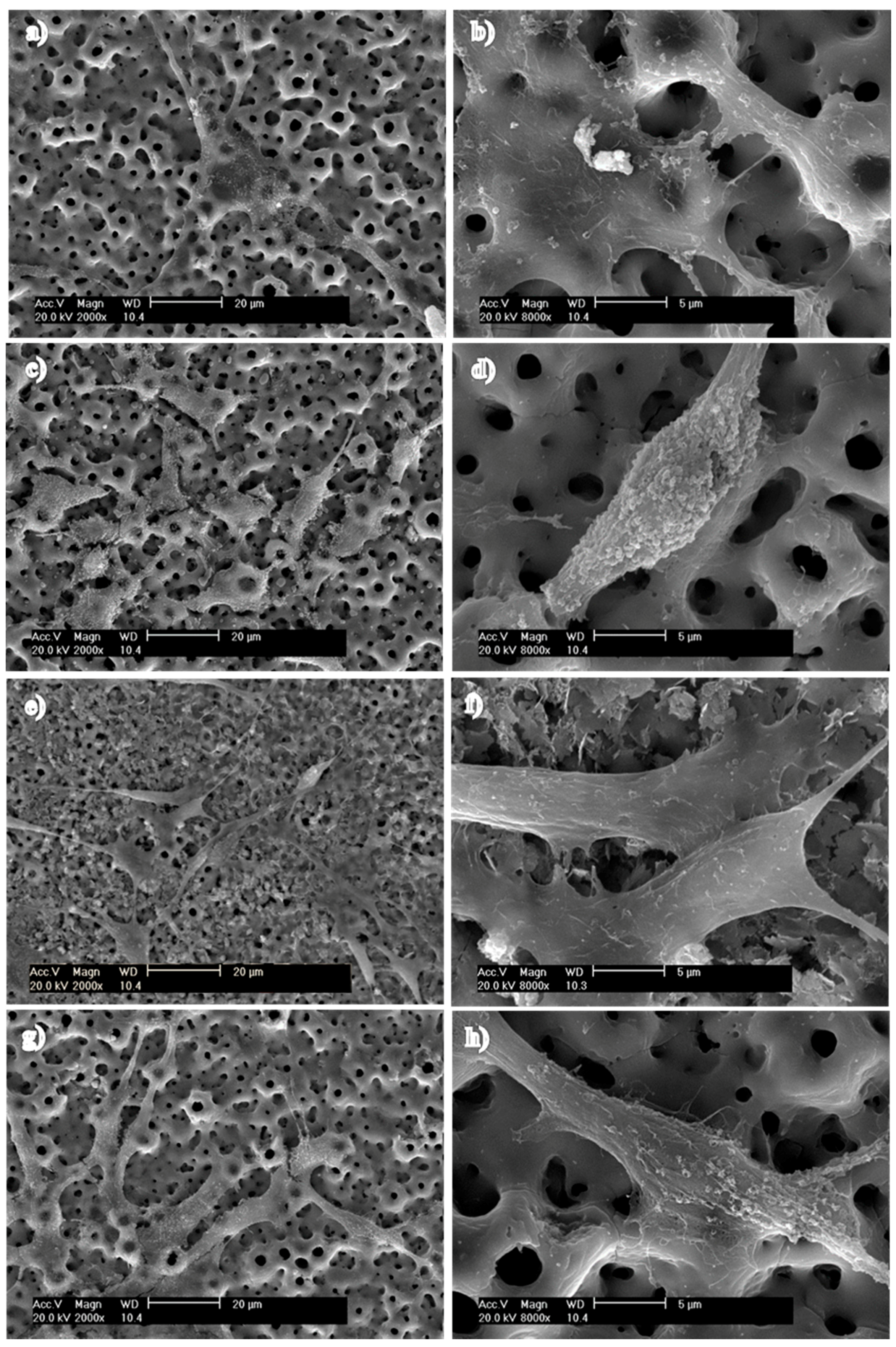 Nanomaterials 07 00343 g008