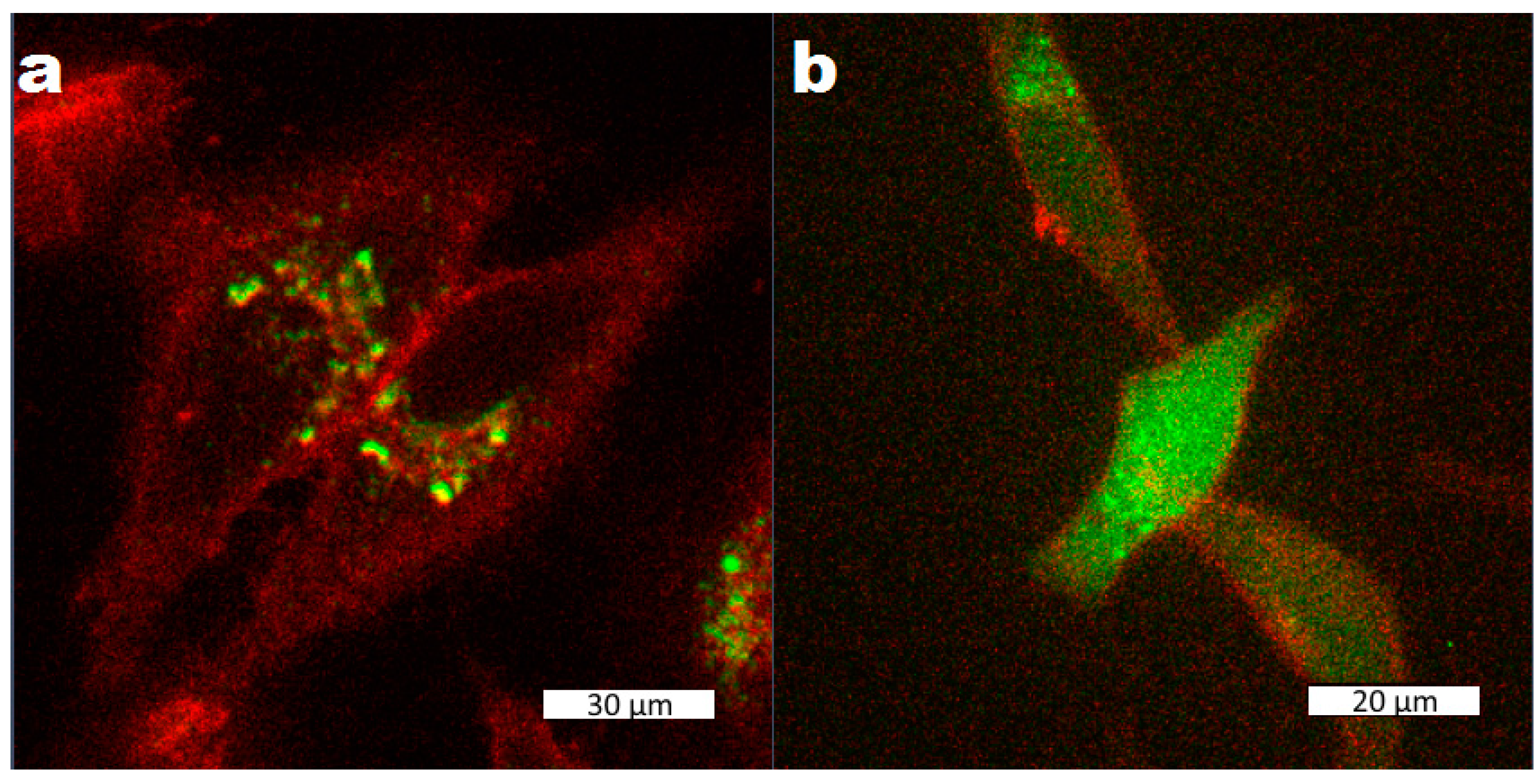 Nanomaterials 07 00351 g003