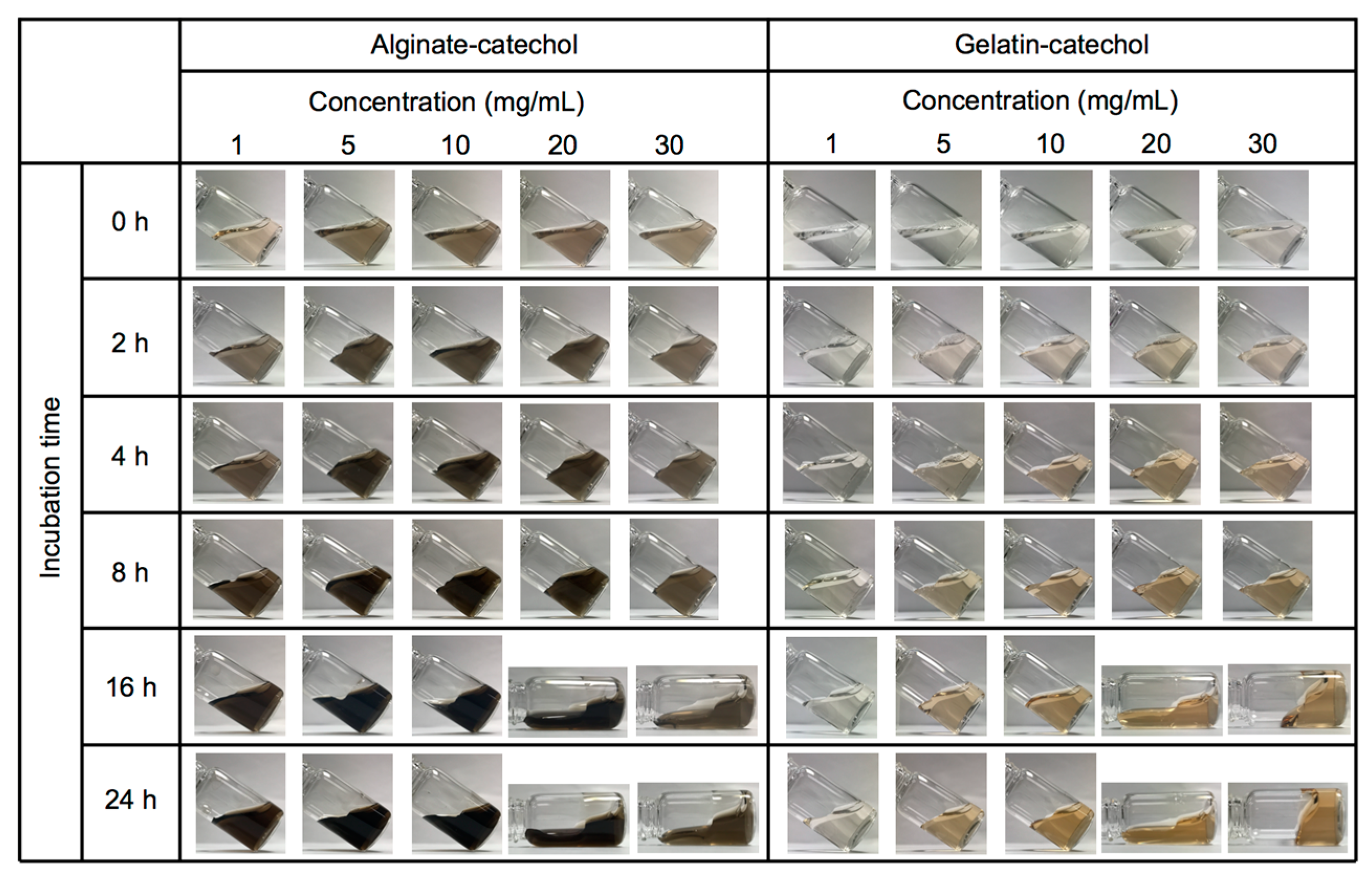 Nanomaterials 07 00364 g002 550