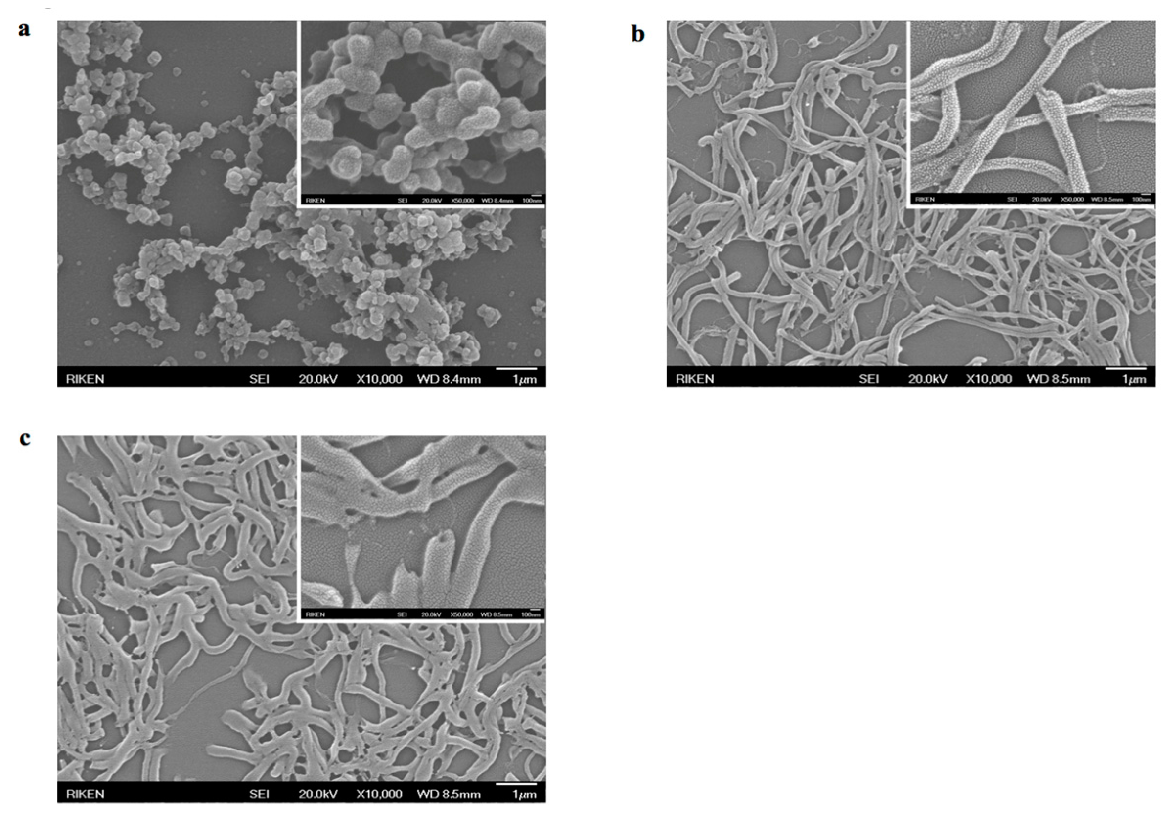 Nanomaterials 07 00364 g005 550
