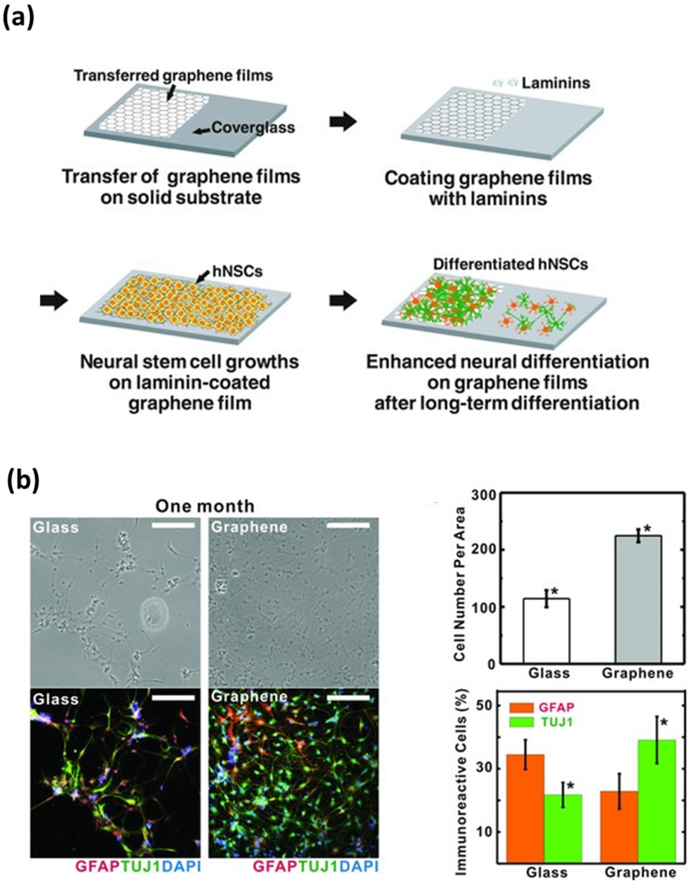 Nanomaterials 07 00369 g004