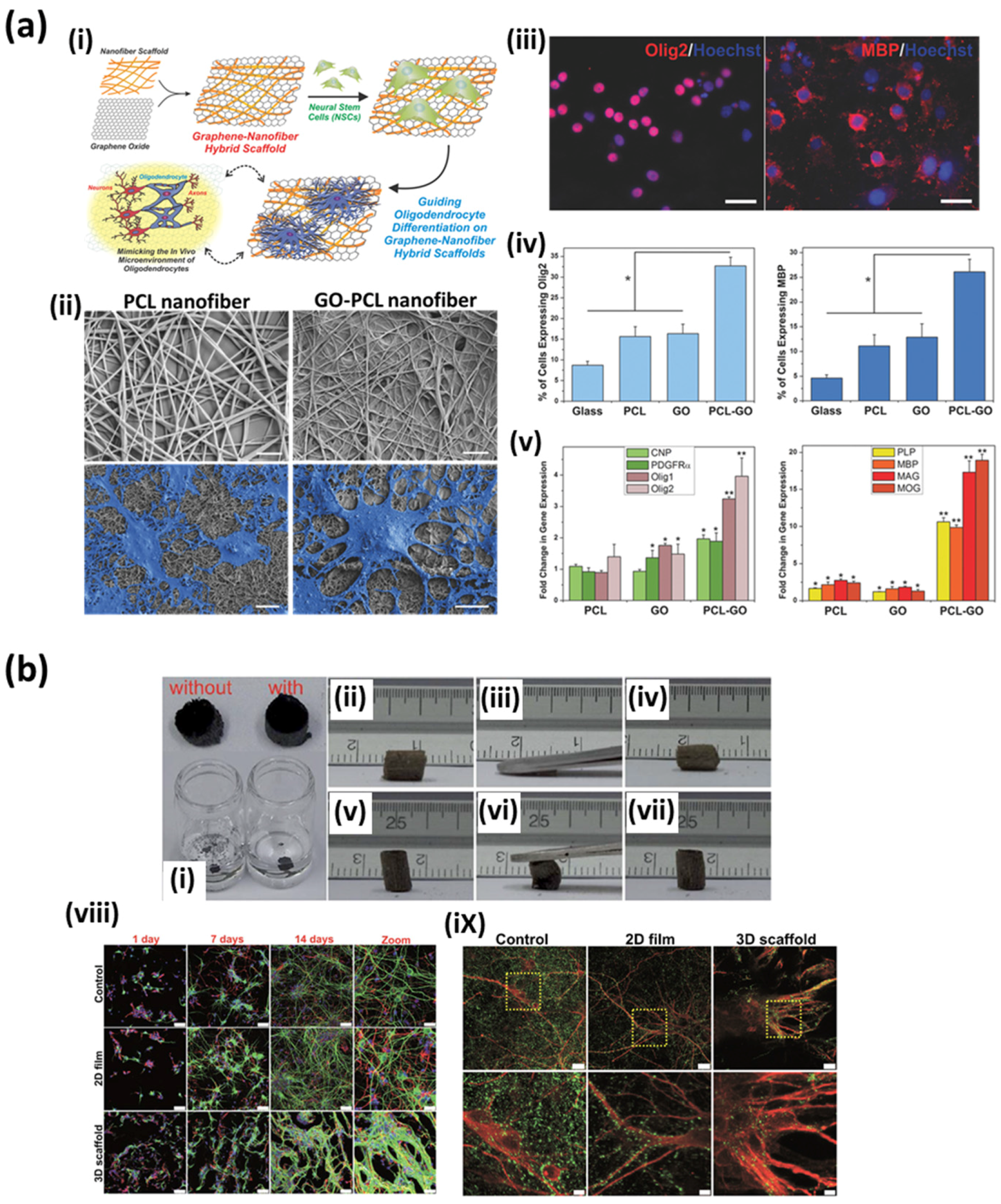 Nanomaterials 07 00369 g010