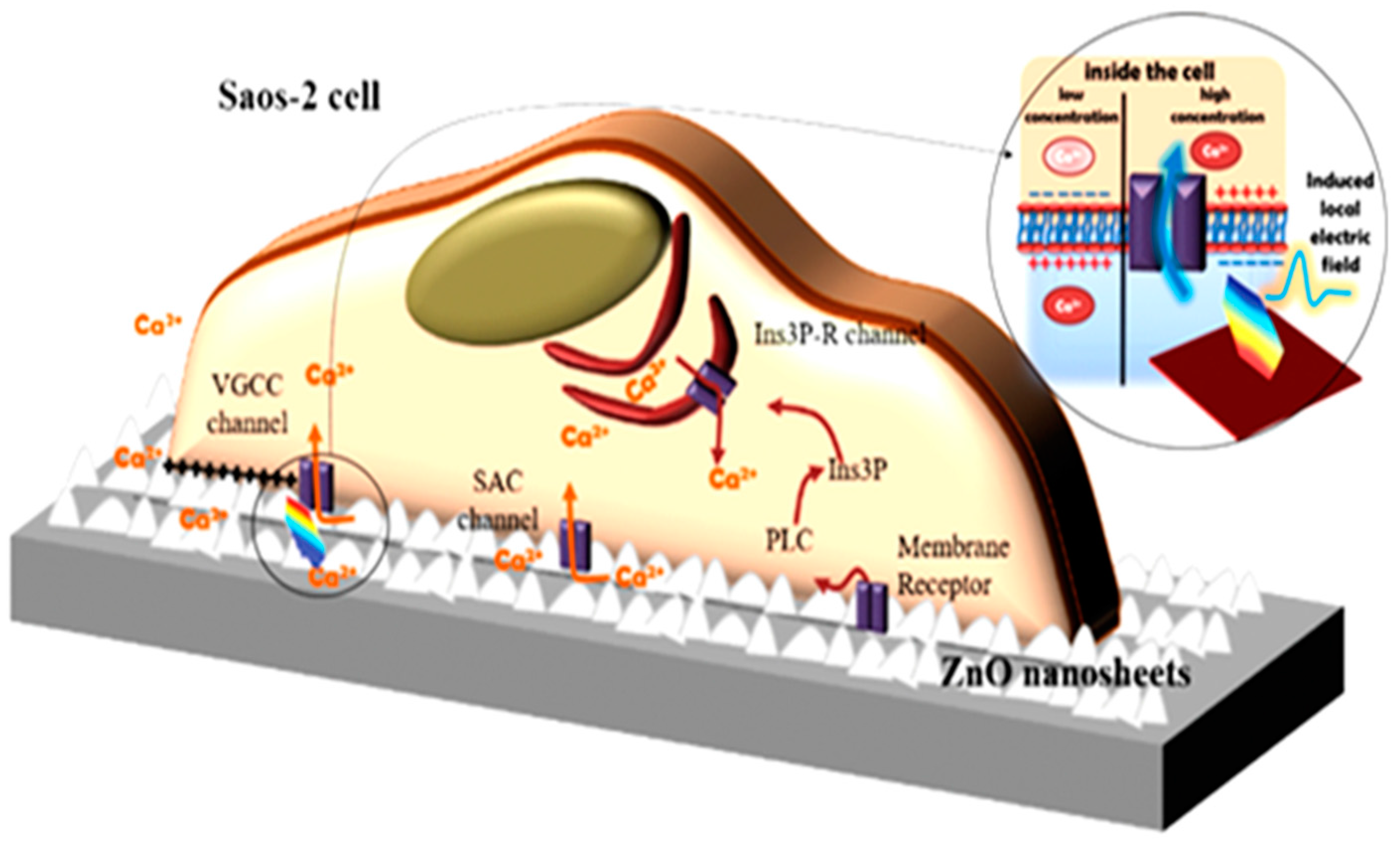Nanomaterials 07 00374 g005
