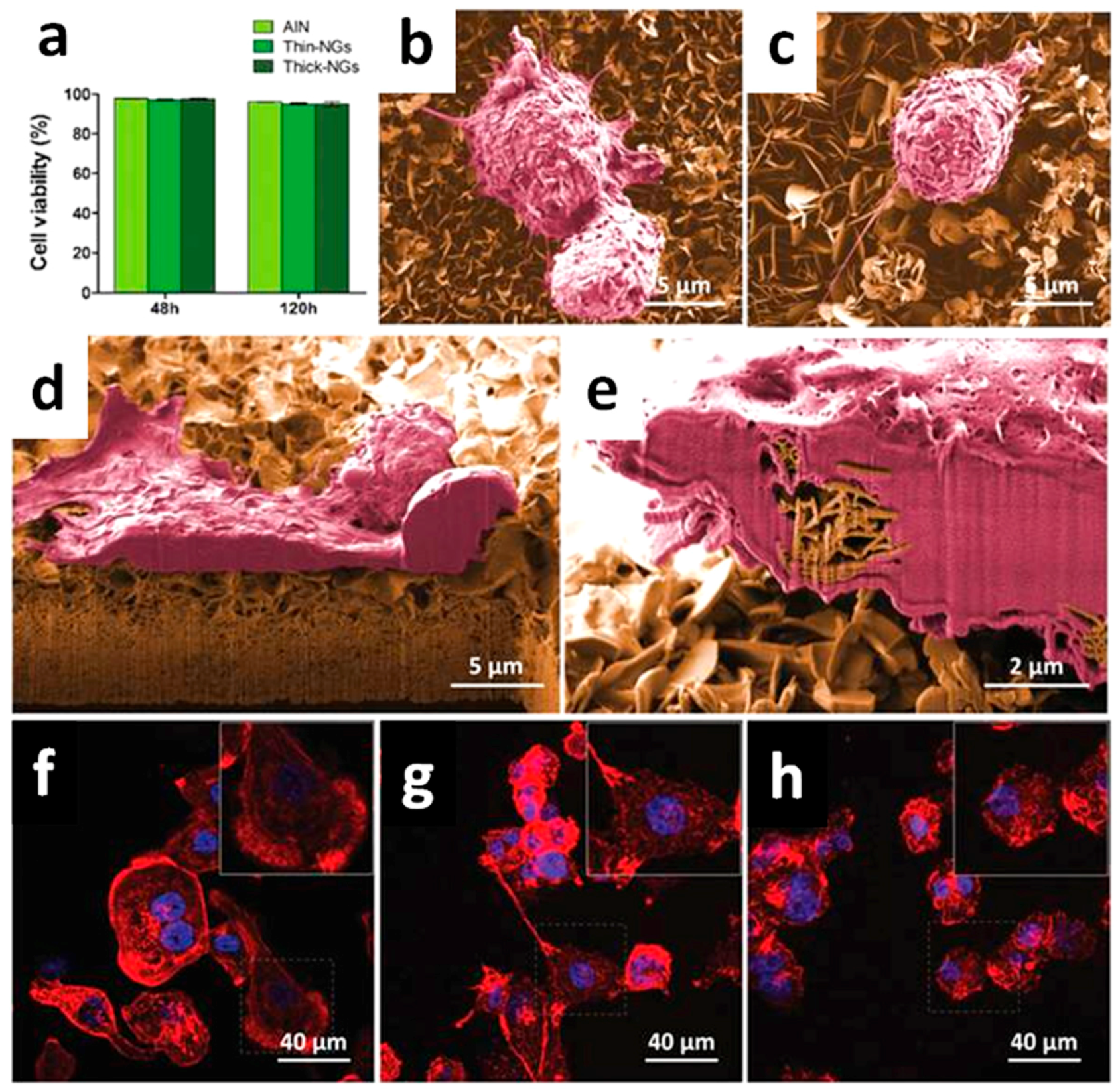 Nanomaterials 07 00374 g006