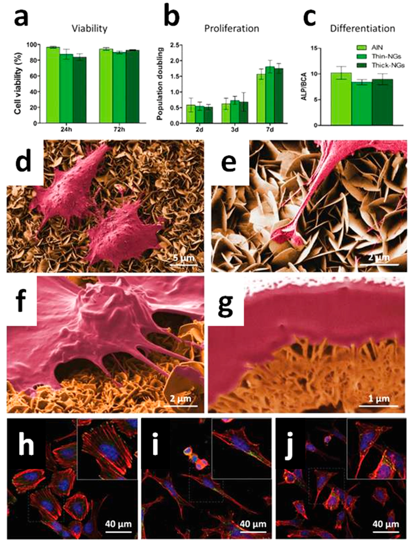 Nanomaterials 07 00374 g007