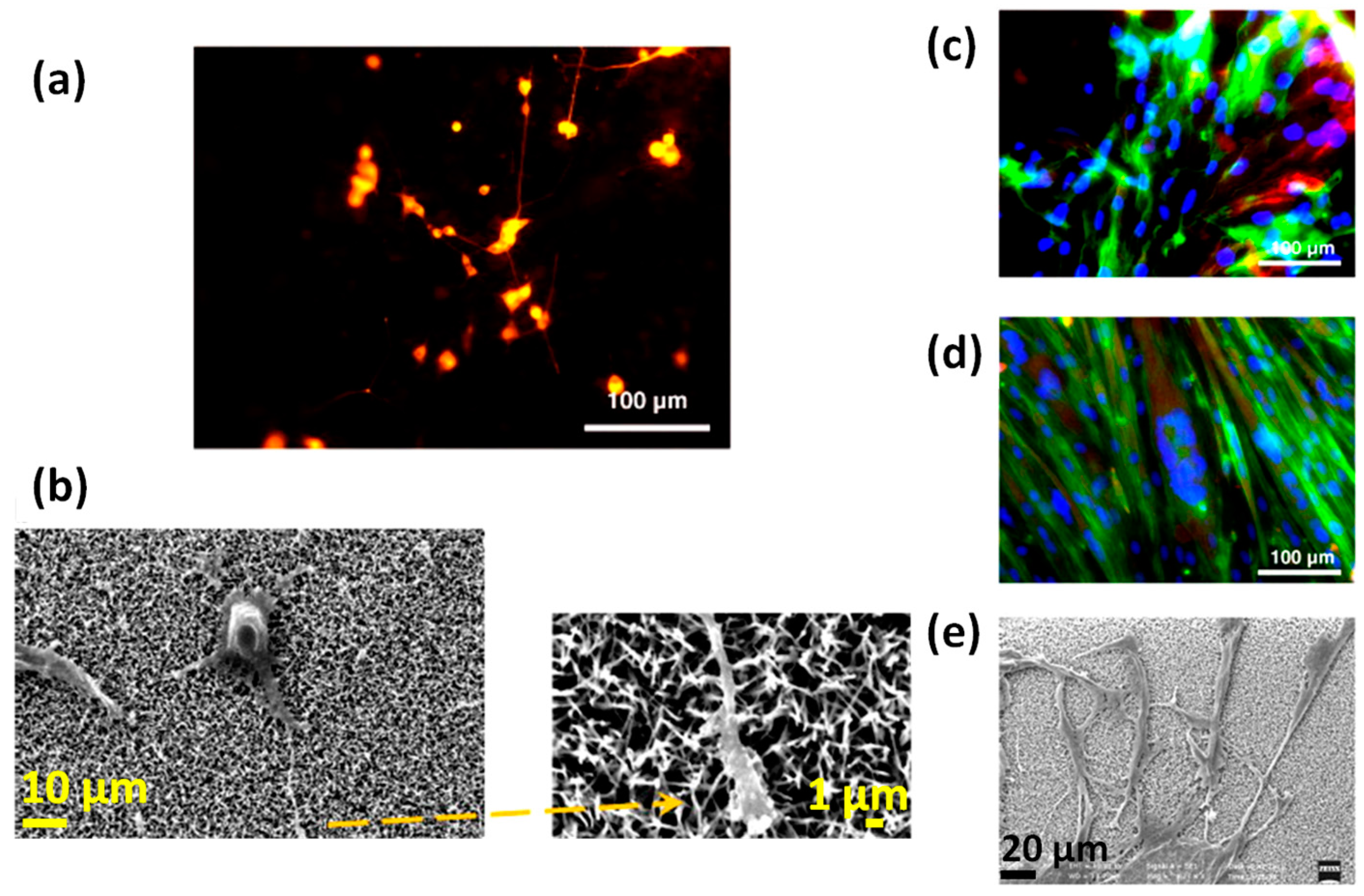 Nanomaterials 07 00374 g009