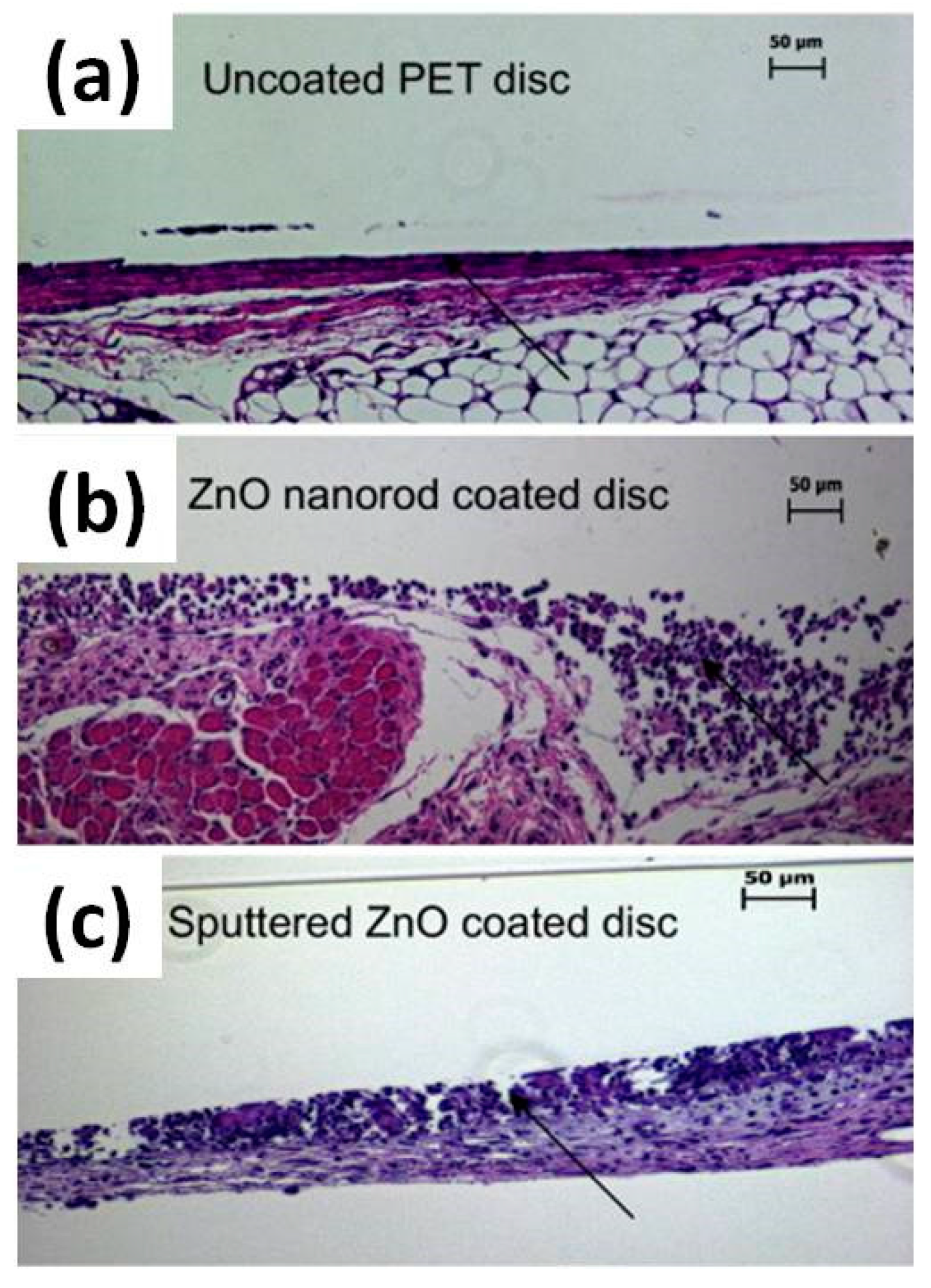 Nanomaterials 07 00374 g011
