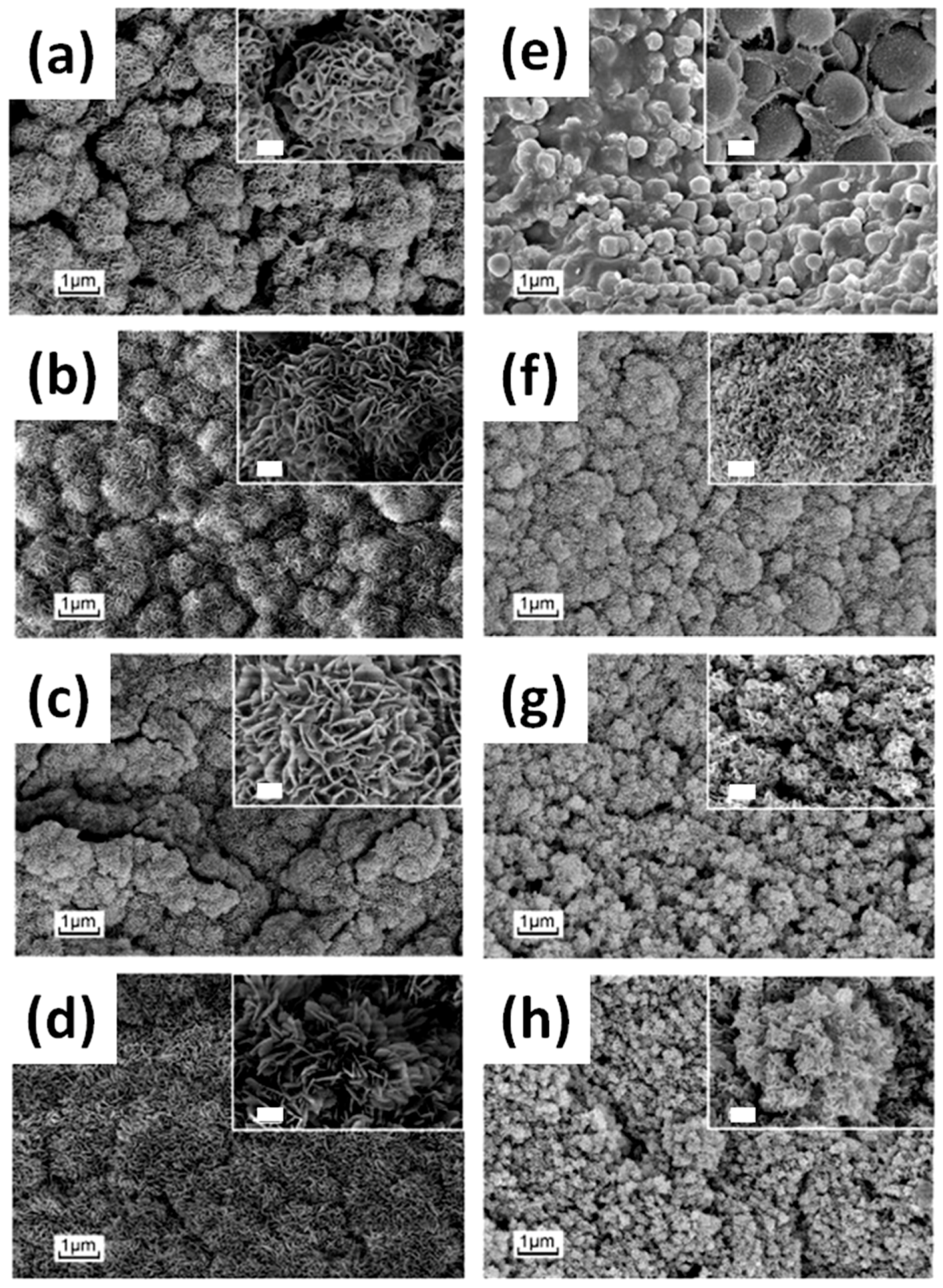Nanomaterials 07 00374 g015
