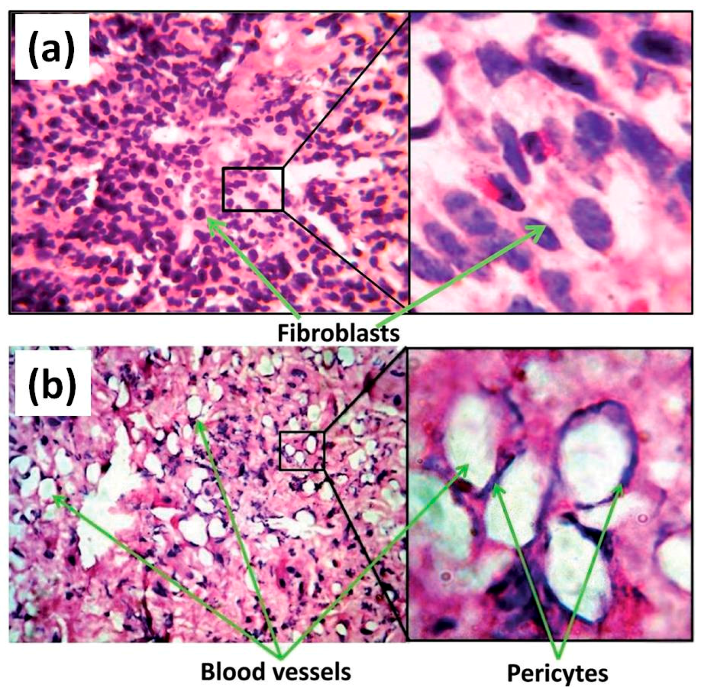 Nanomaterials 07 00374 g022