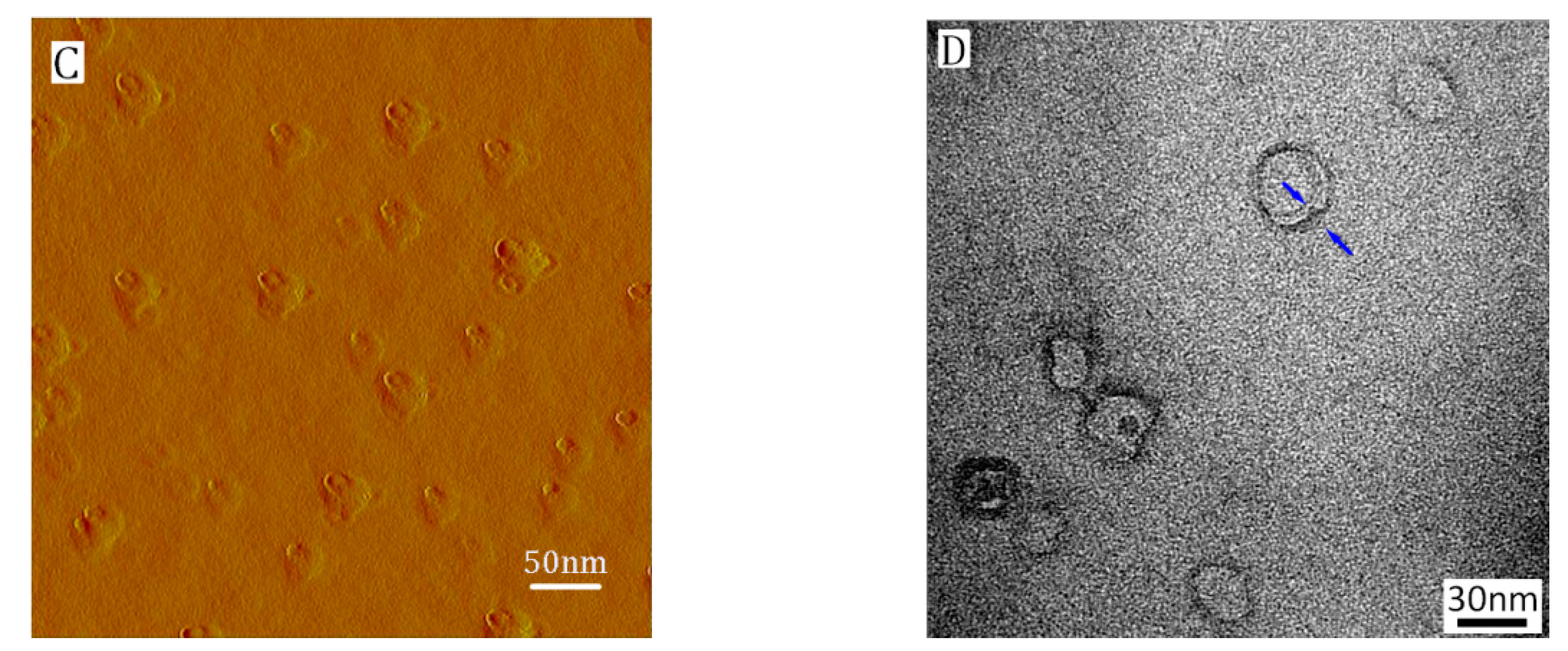 Nanomaterials 07 00387 g003b