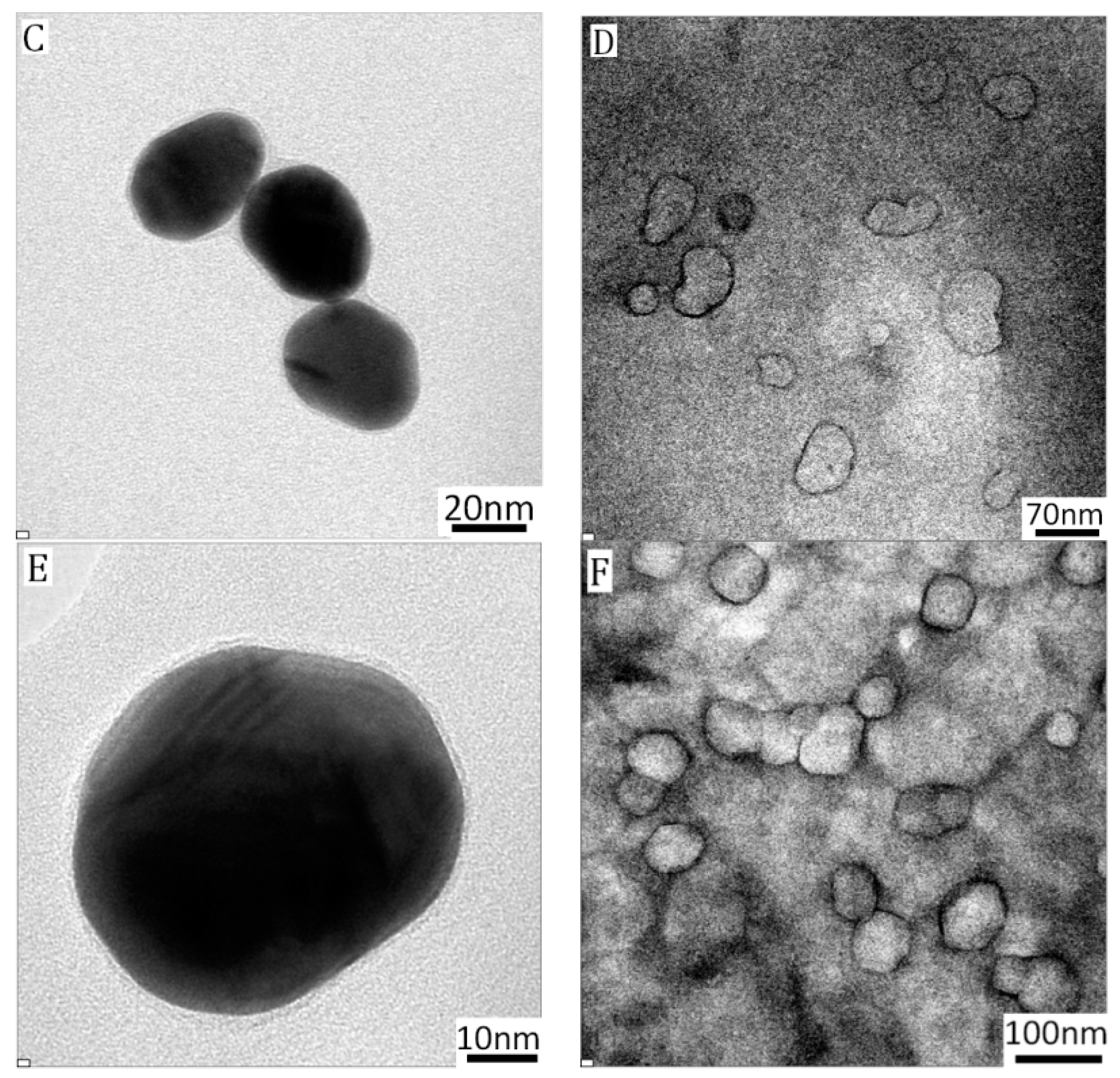 Nanomaterials 07 00387 g004b