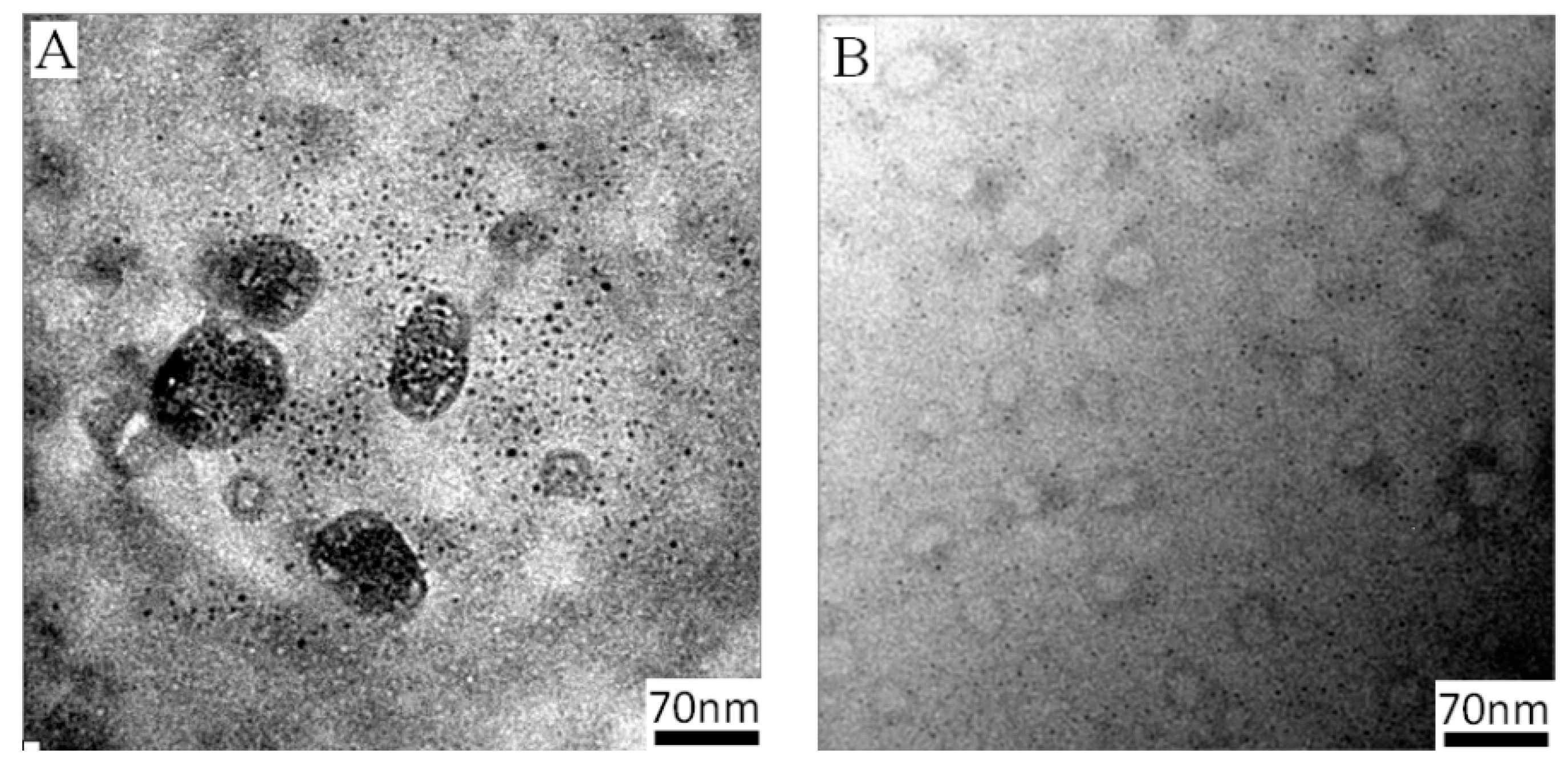 Nanomaterials 07 00387 g005