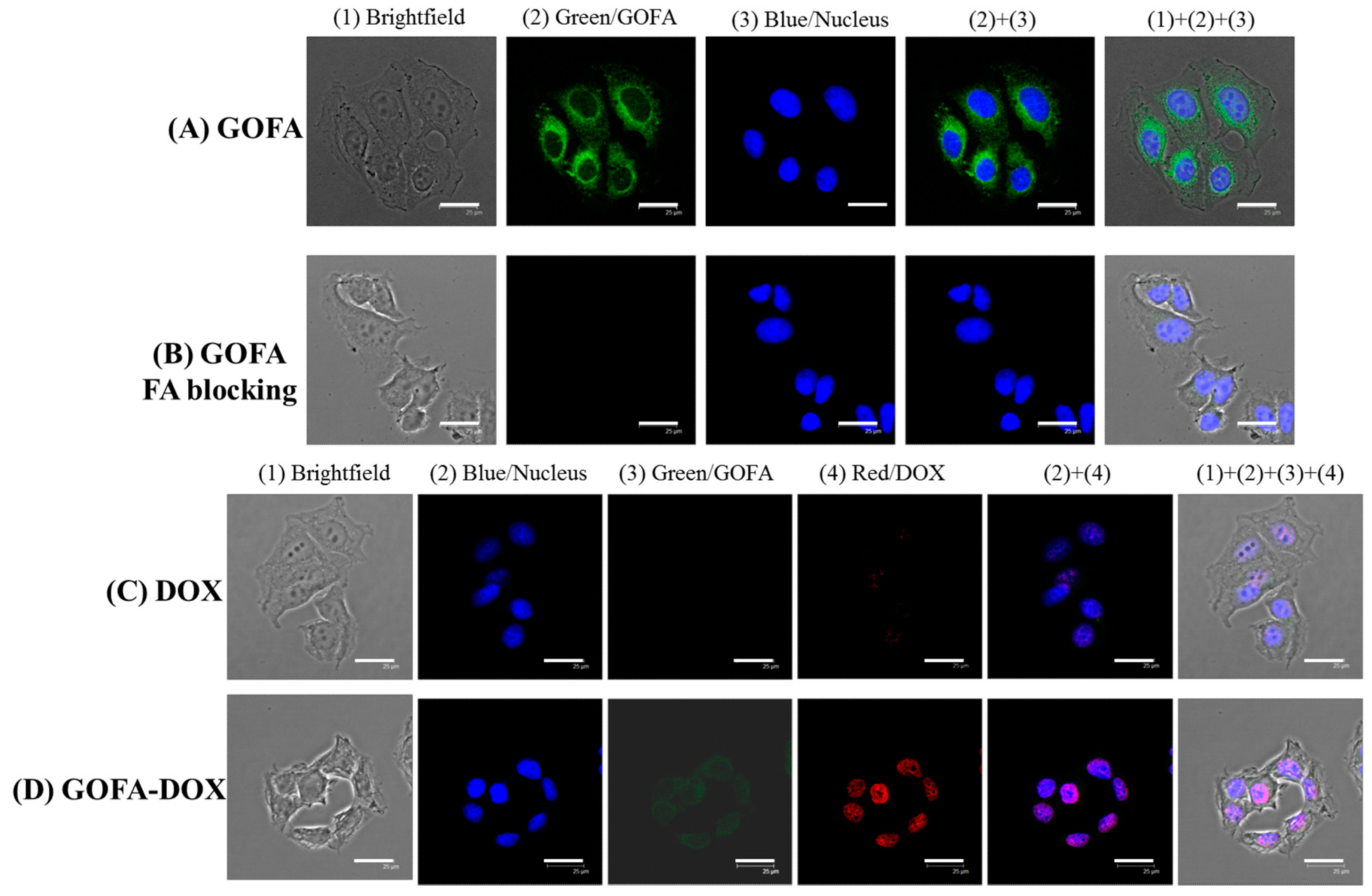 Nanomaterials 07 00388 g005 550